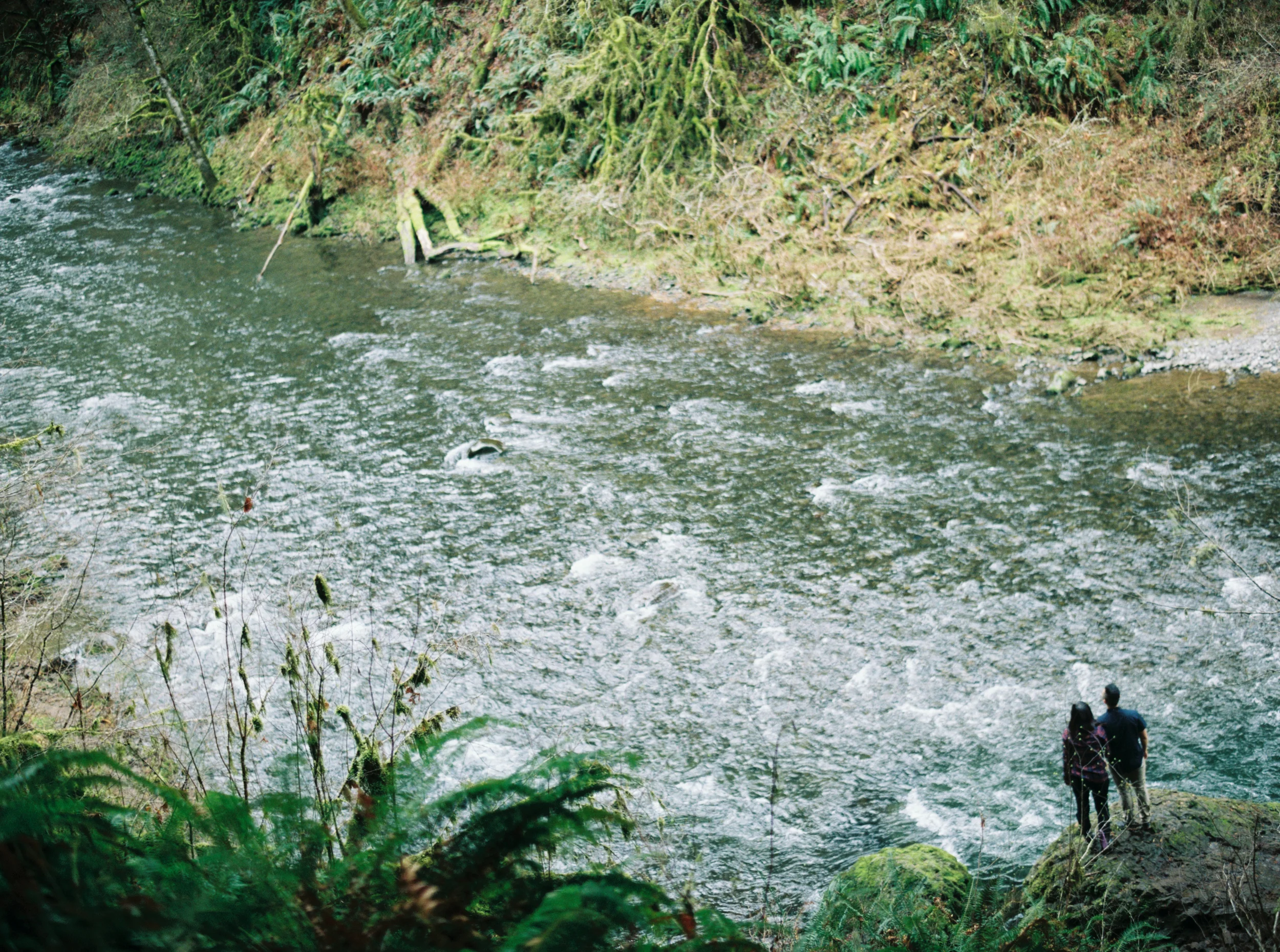 004+SPLIT IMAGE_outlive+creative+contax645+film+hidey+deems+abiqua+falls.jpg