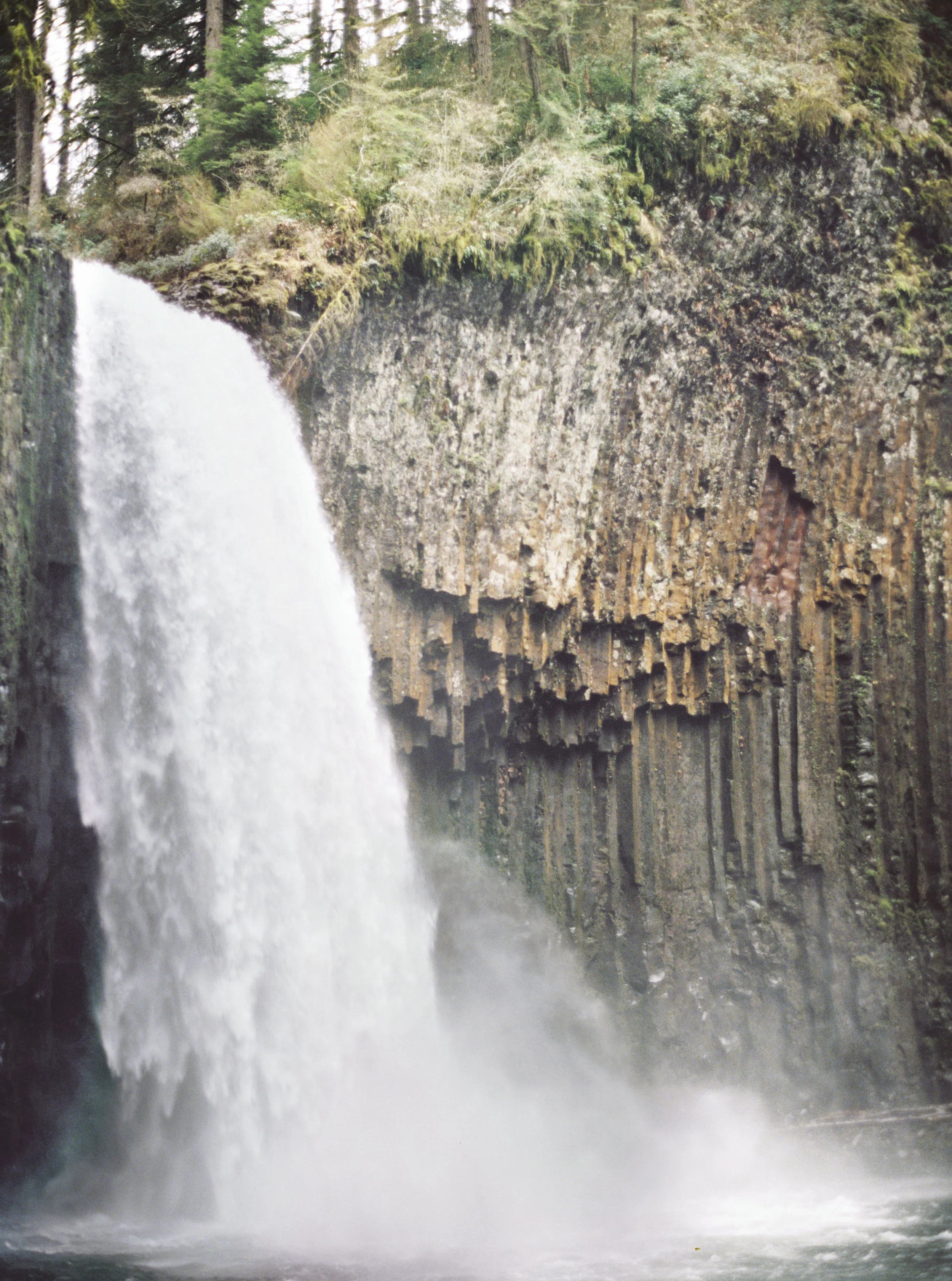 021+abiqua+falls+hidey+deems+oregon+engagement+session.jpg