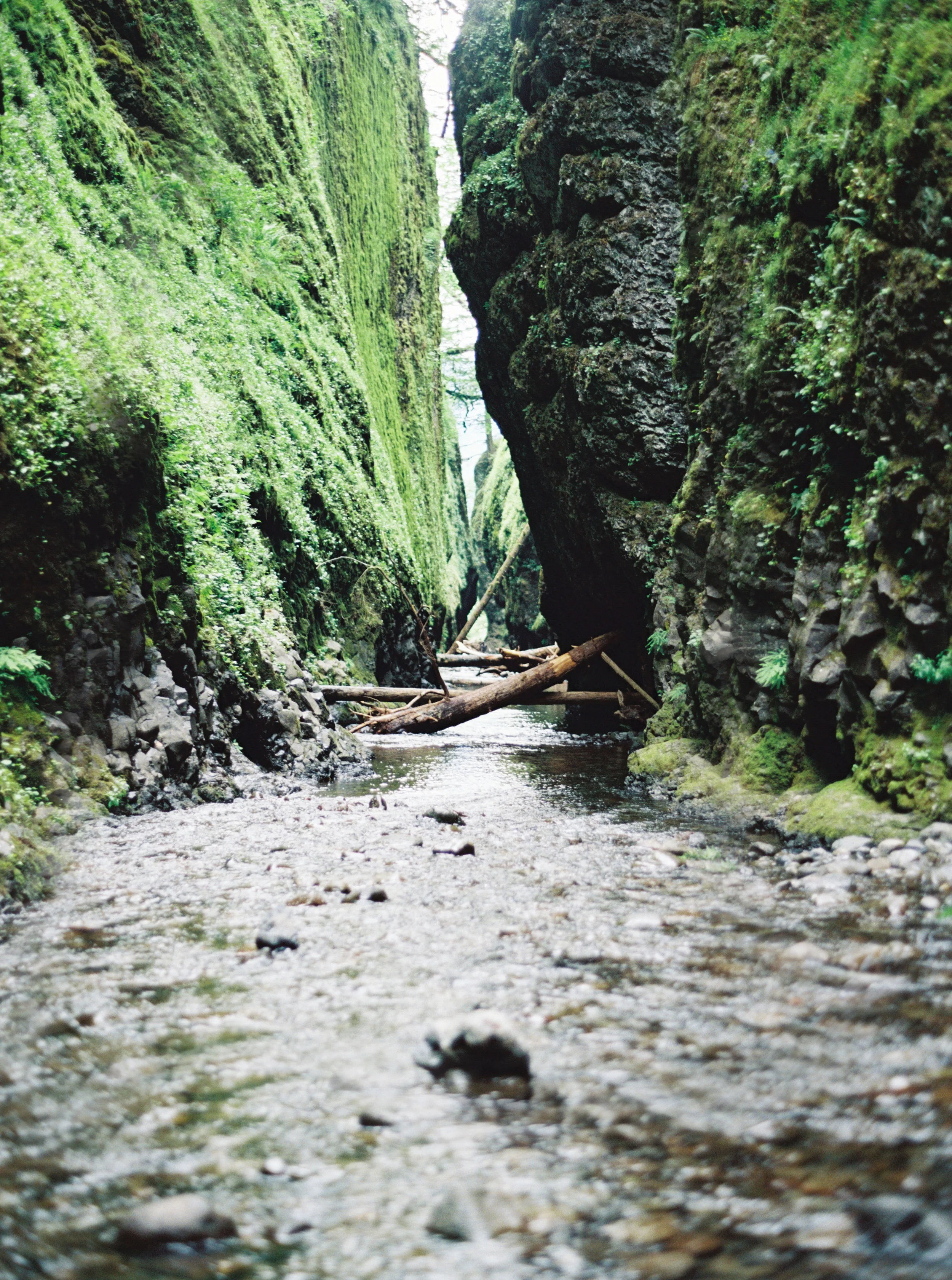 082OneontaGorge+Elopement+Photography+Videography+Oregon+OutliveCreative.jpg