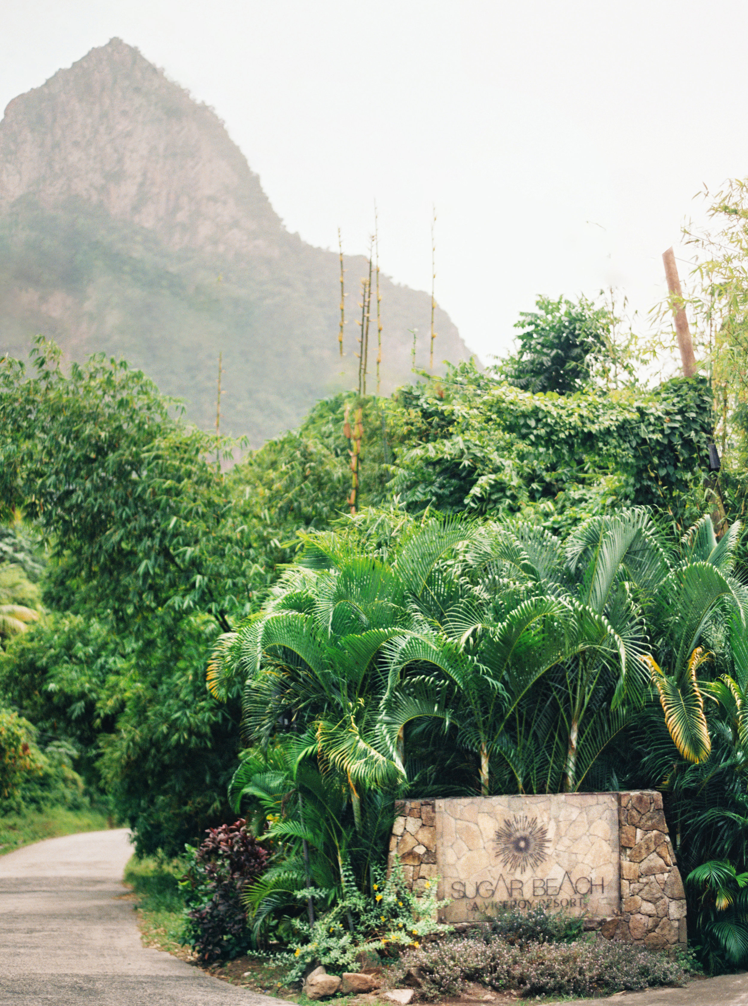 007Delmary's & Daniel : ELOPEMENT : ST. LUCIA : CARIBBEAN : PHOTO & VIDEO : DESTINATION : OUTLIVE CREATIVE : 2016 .jpg