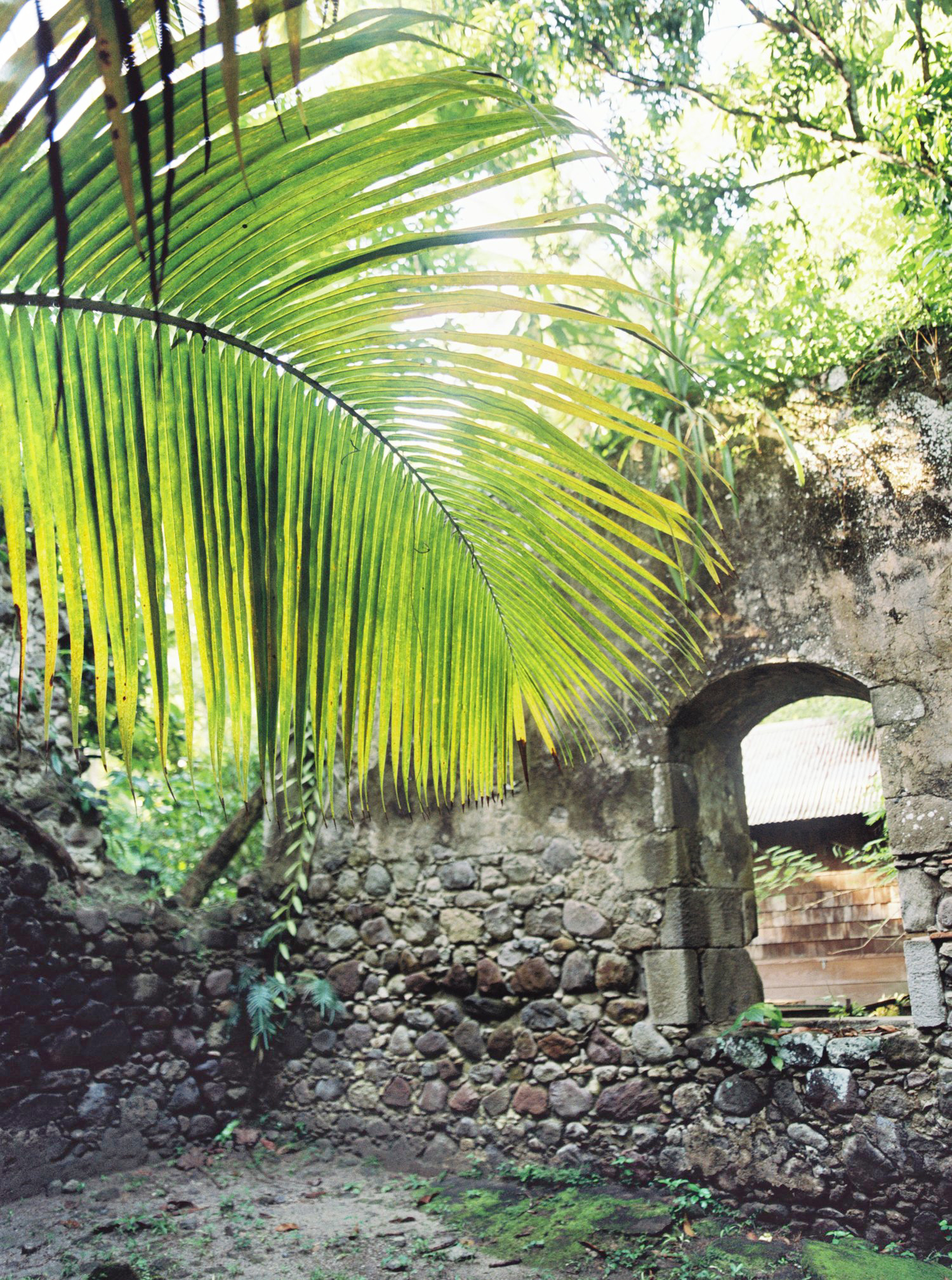 031Delmary's+&+Daniel+-+Engagement+Photos+-+St.+Lucia+-+Carribean+-+Elopement+-+Outlive+Creative+-+2016.jpg