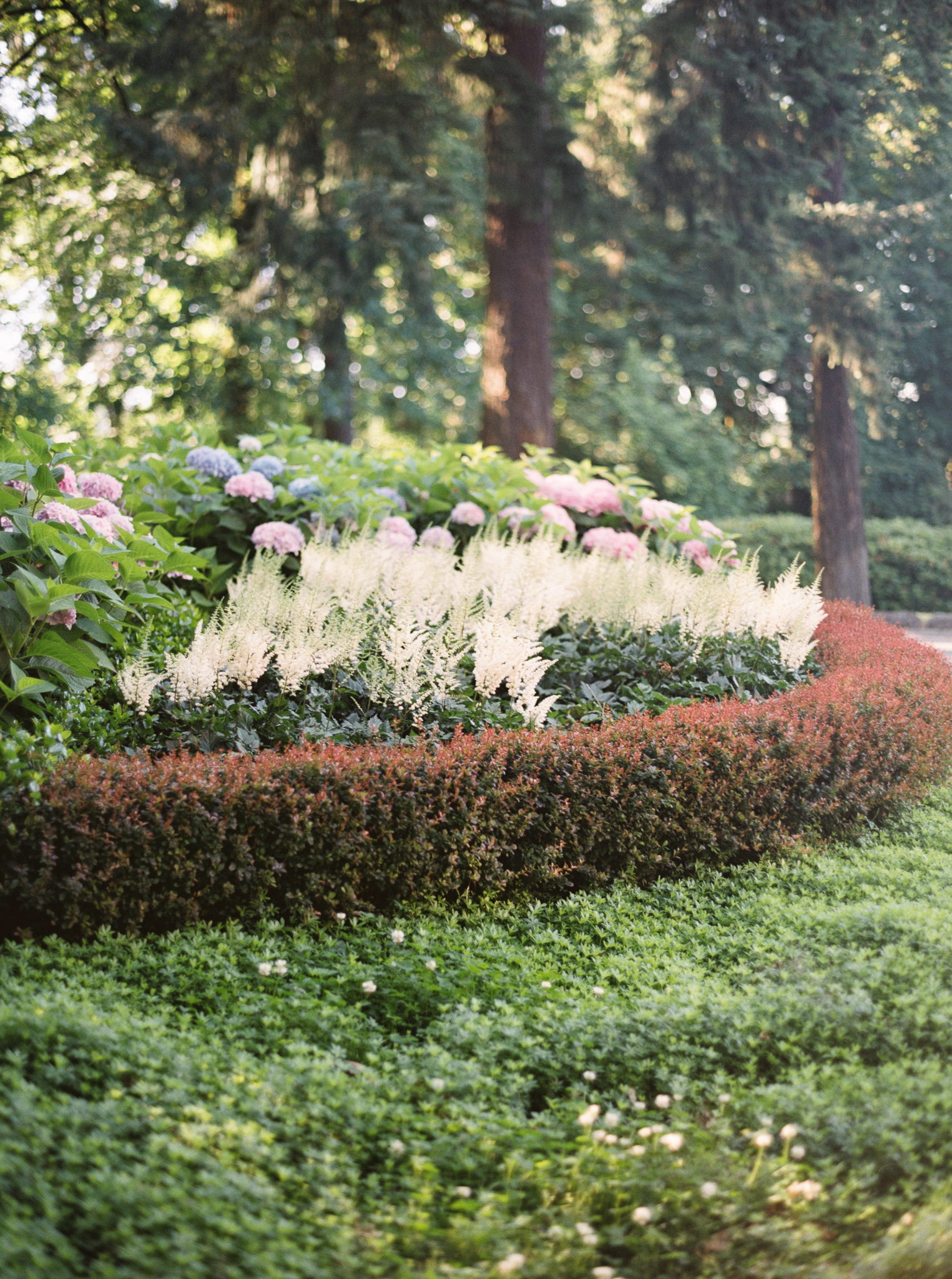 093OutliveCreative_Travel_Photographer_Videographer_Lewis&Clark_Oregon_Elegant_BlackTie_Destination_Wedding.jpg