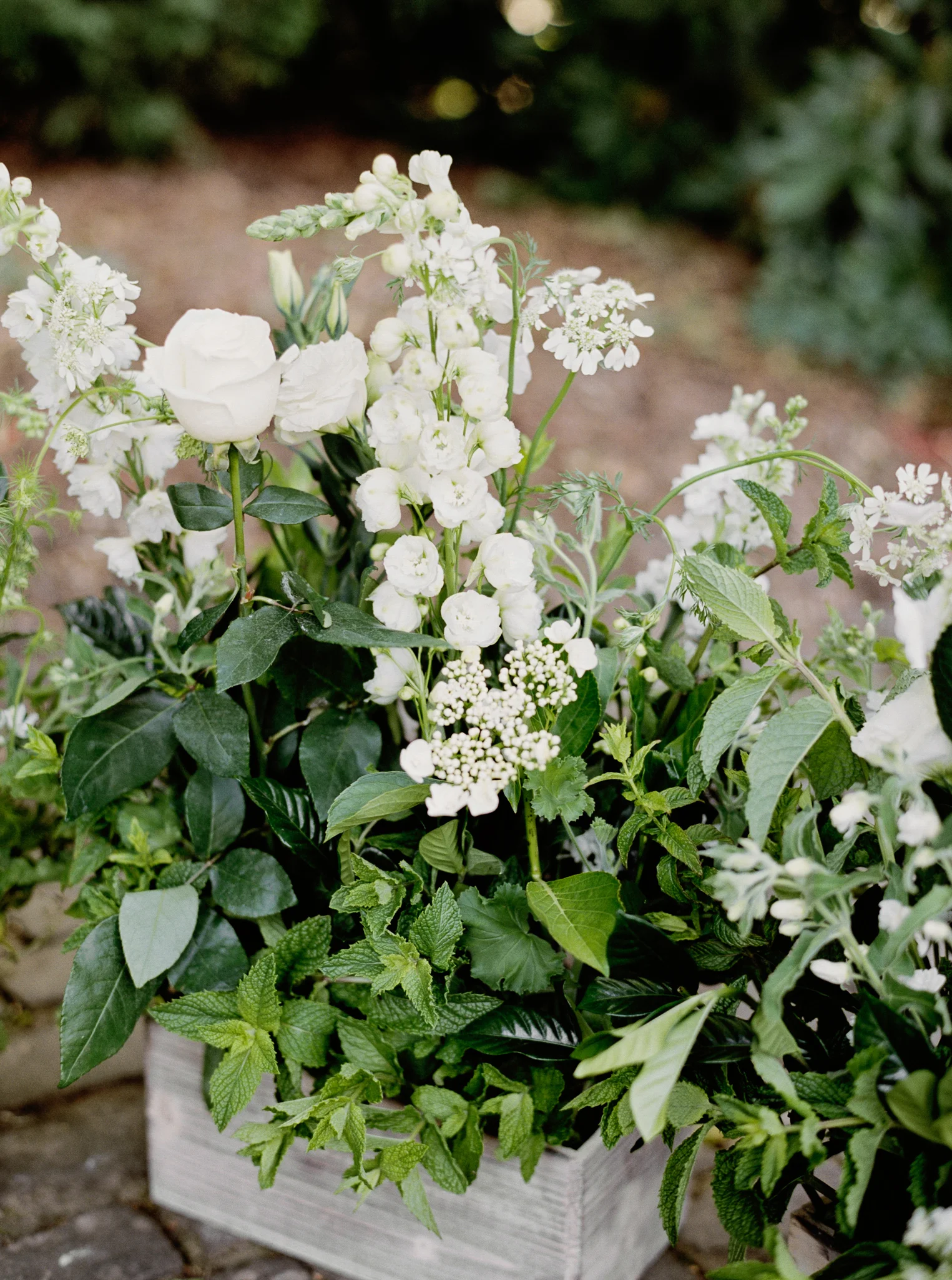 121OutliveCreative_Travel_Photographer_Videographer_Lewis&Clark_Oregon_Elegant_BlackTie_Destination_Wedding.jpg