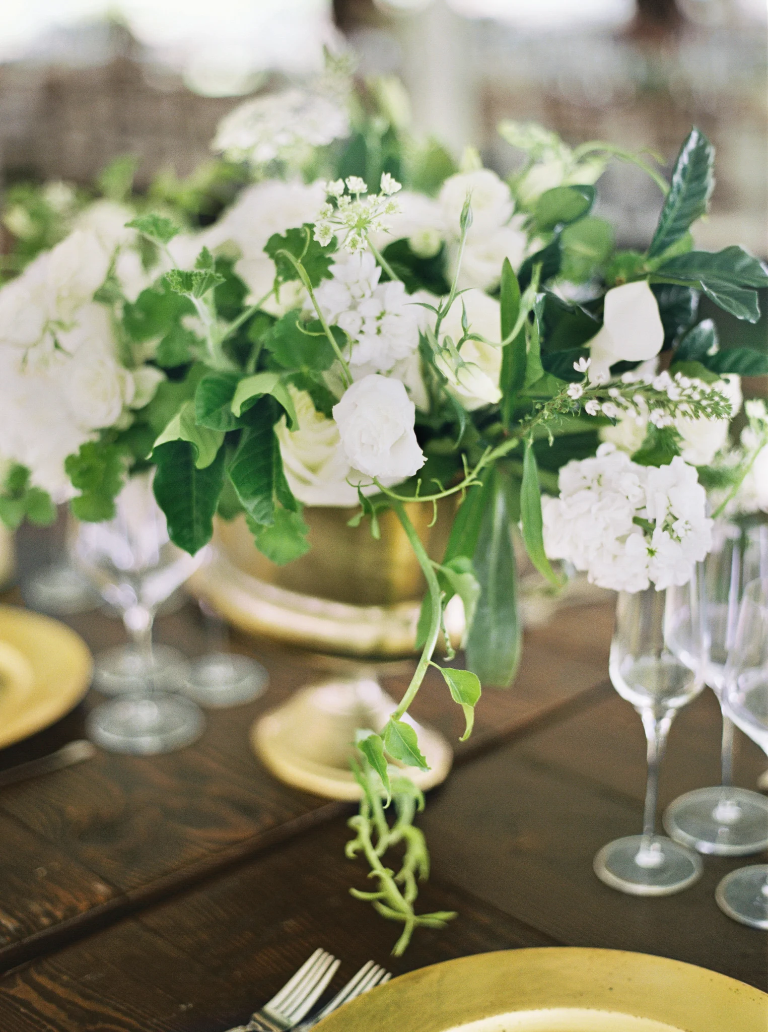 175OutliveCreative_Travel_Photographer_Videographer_Lewis&Clark_Oregon_Elegant_BlackTie_Destination_Wedding.jpg