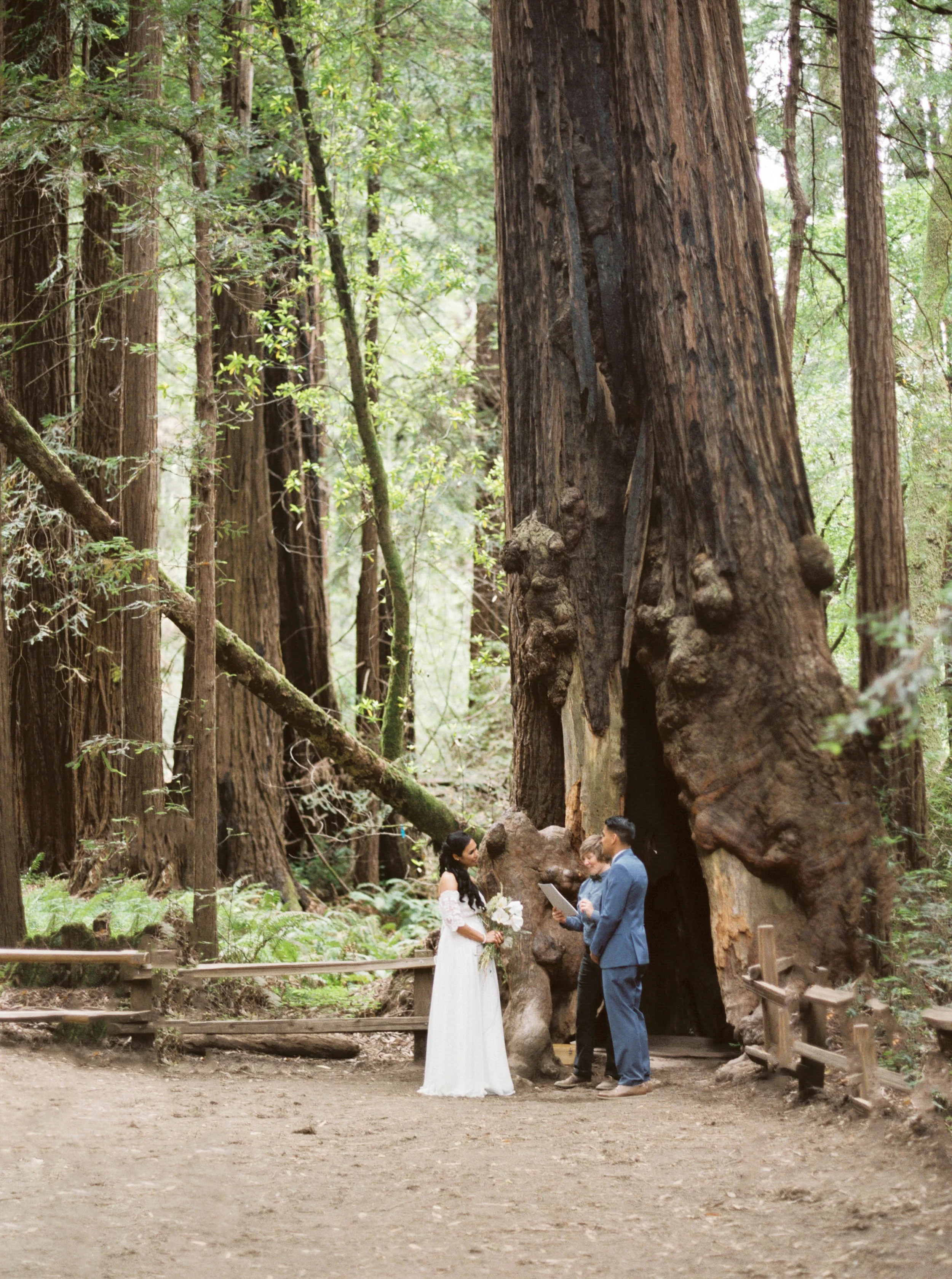 035_Krysten-Crebin-Bay-Area-Elopement-Wedding-Photographer-Videographer.jpg