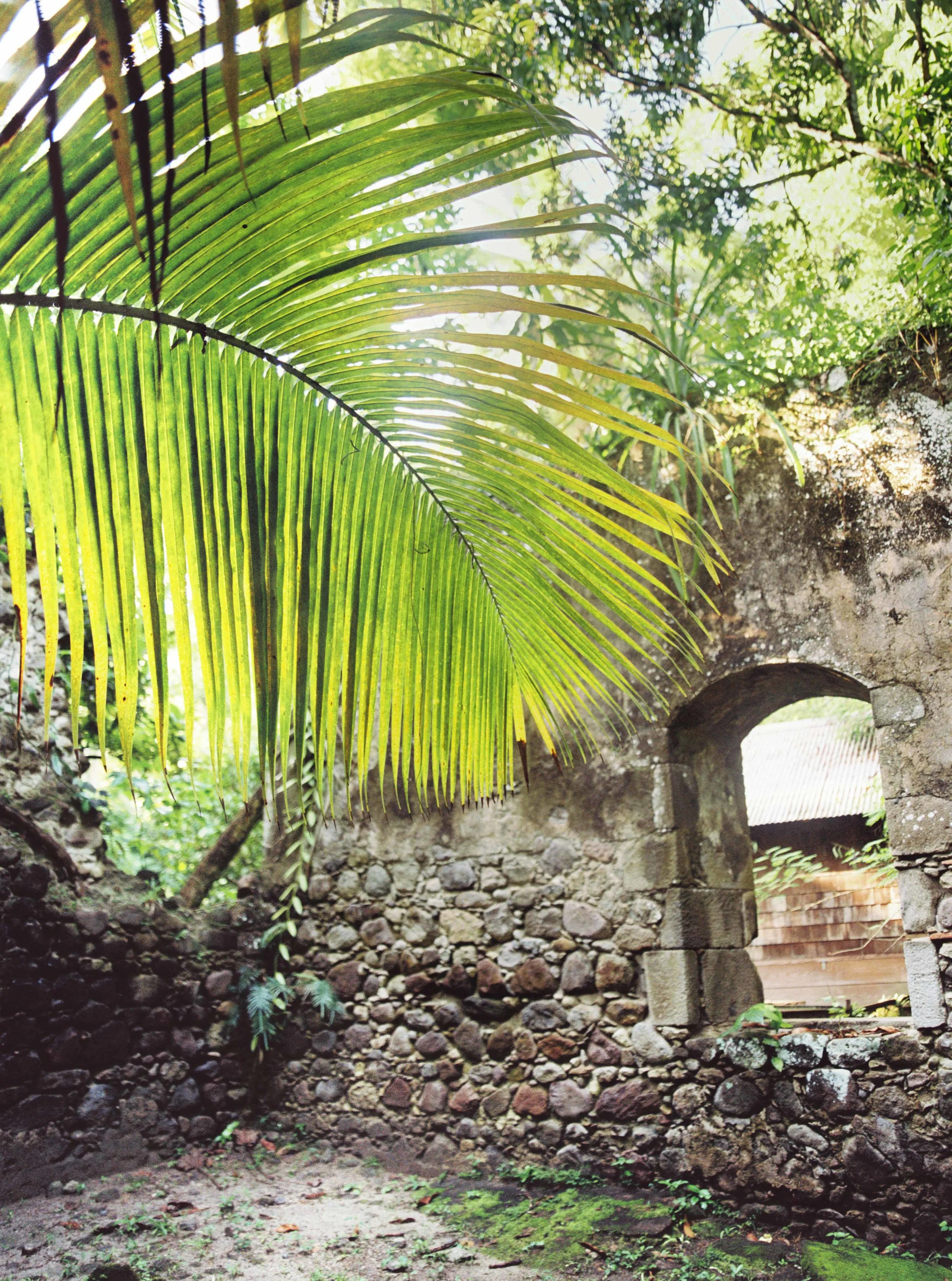 027Best_Destination_Elopement_Carribean_St.Lucia_Shoot_Travel_Wedding_Photographer_Videographer.jpg