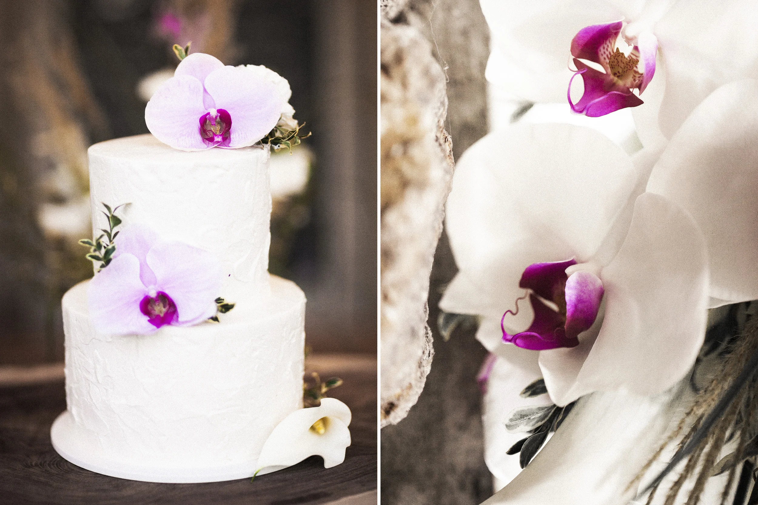 046+rROHLIK+SCHMIDT+outlive+creative+contax645+film+styled+wedding+sutro+baths+san+francisco.jpg