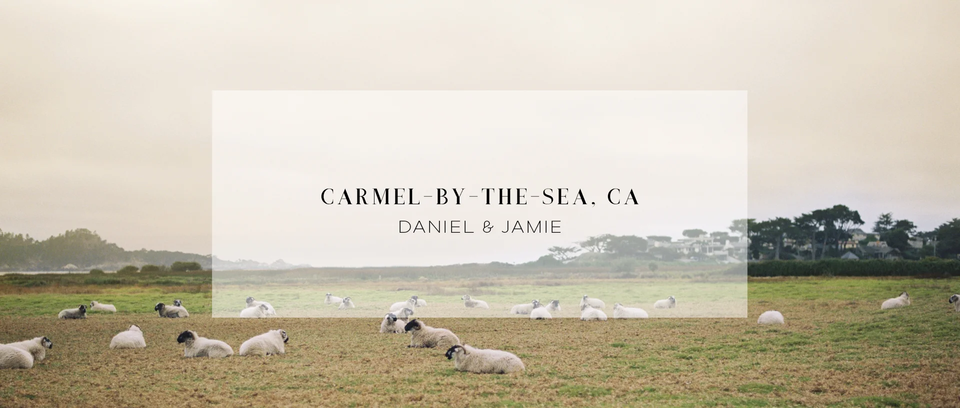 CARMEL BY THE SEA WEDDING VIDEOGRAPHER