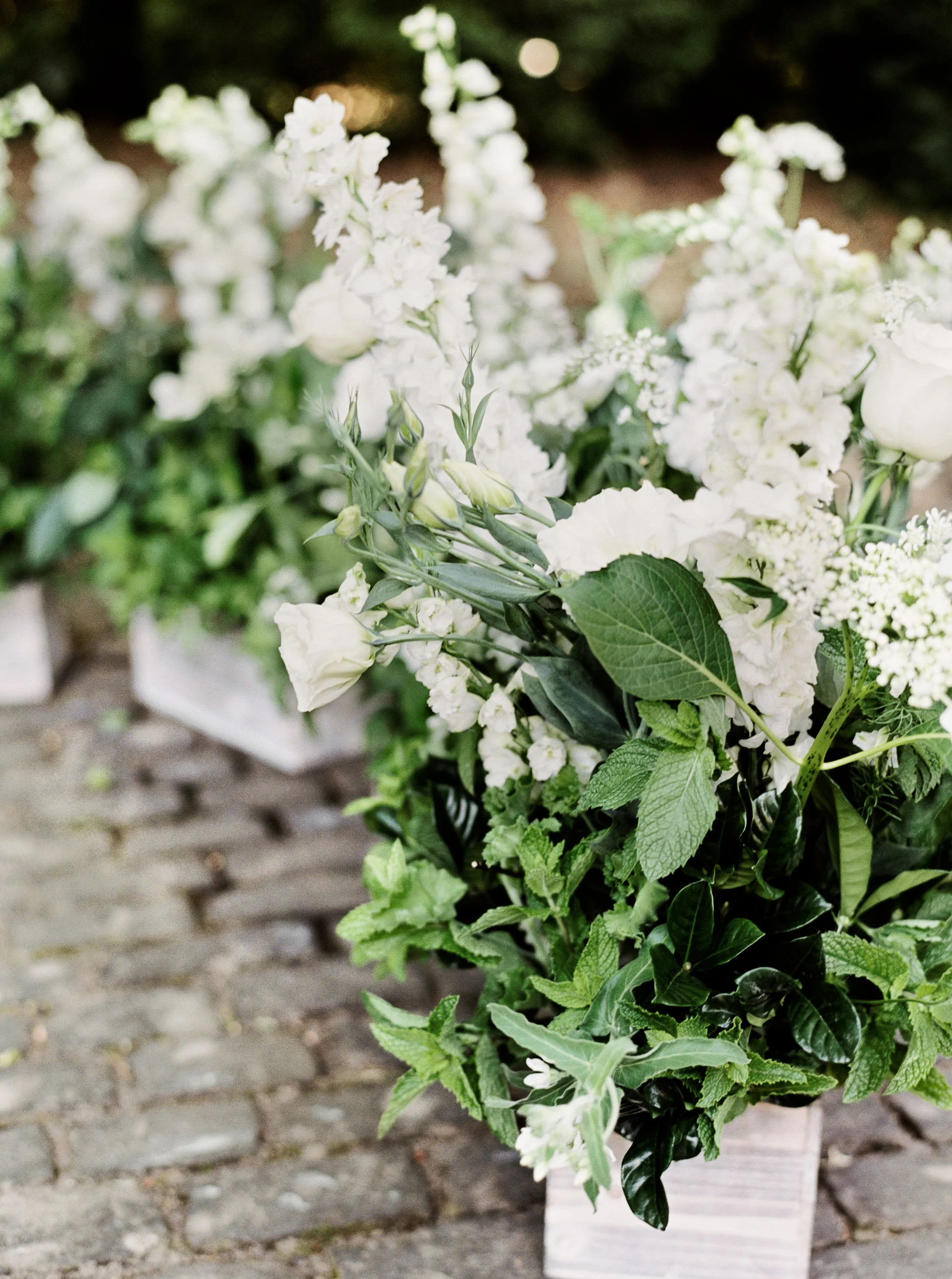 027luxary_wedding_photographer_videographer_destination_elopement_lewis&clark_.jpg