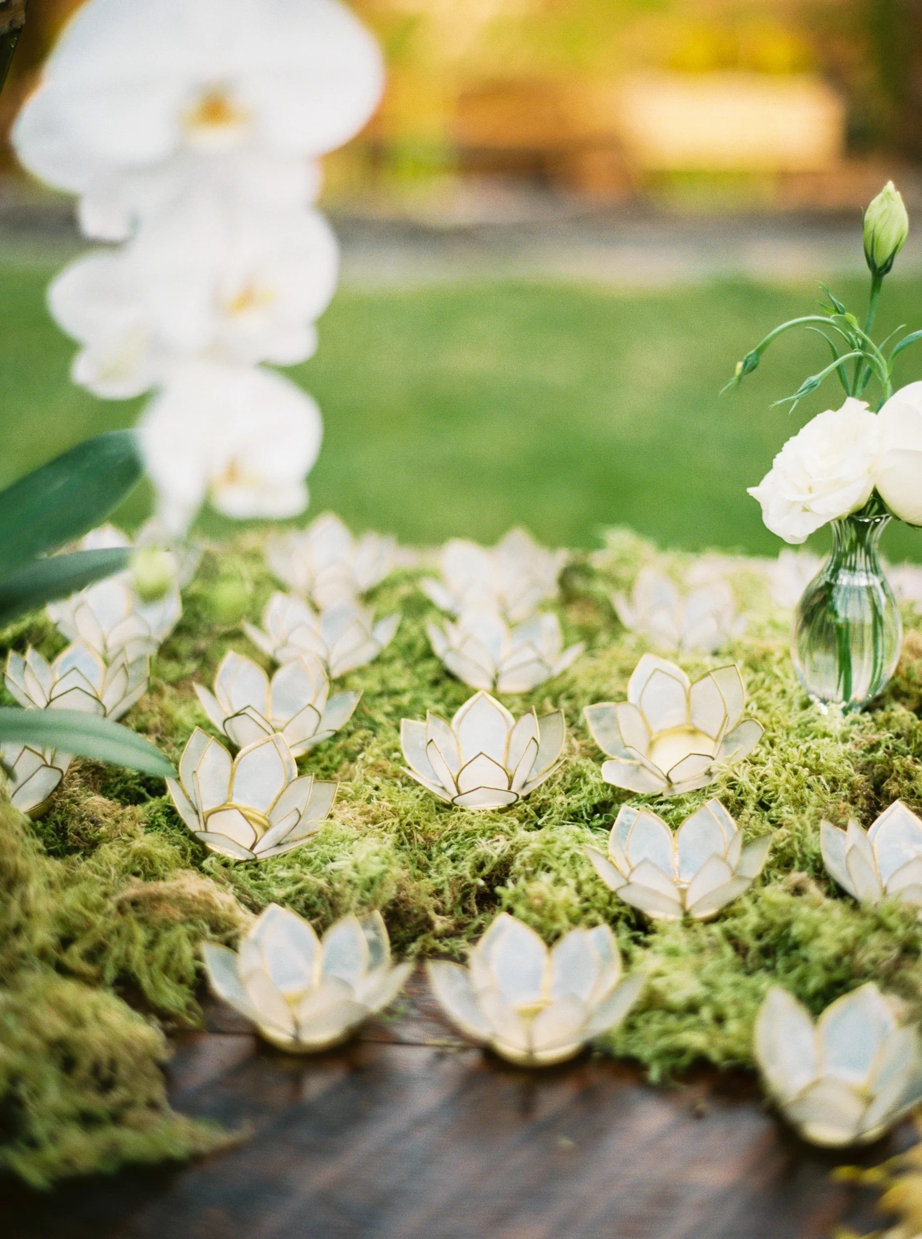 060luxary_wedding_photographer_videographer_destination_elopement_lewis&clark_.jpg