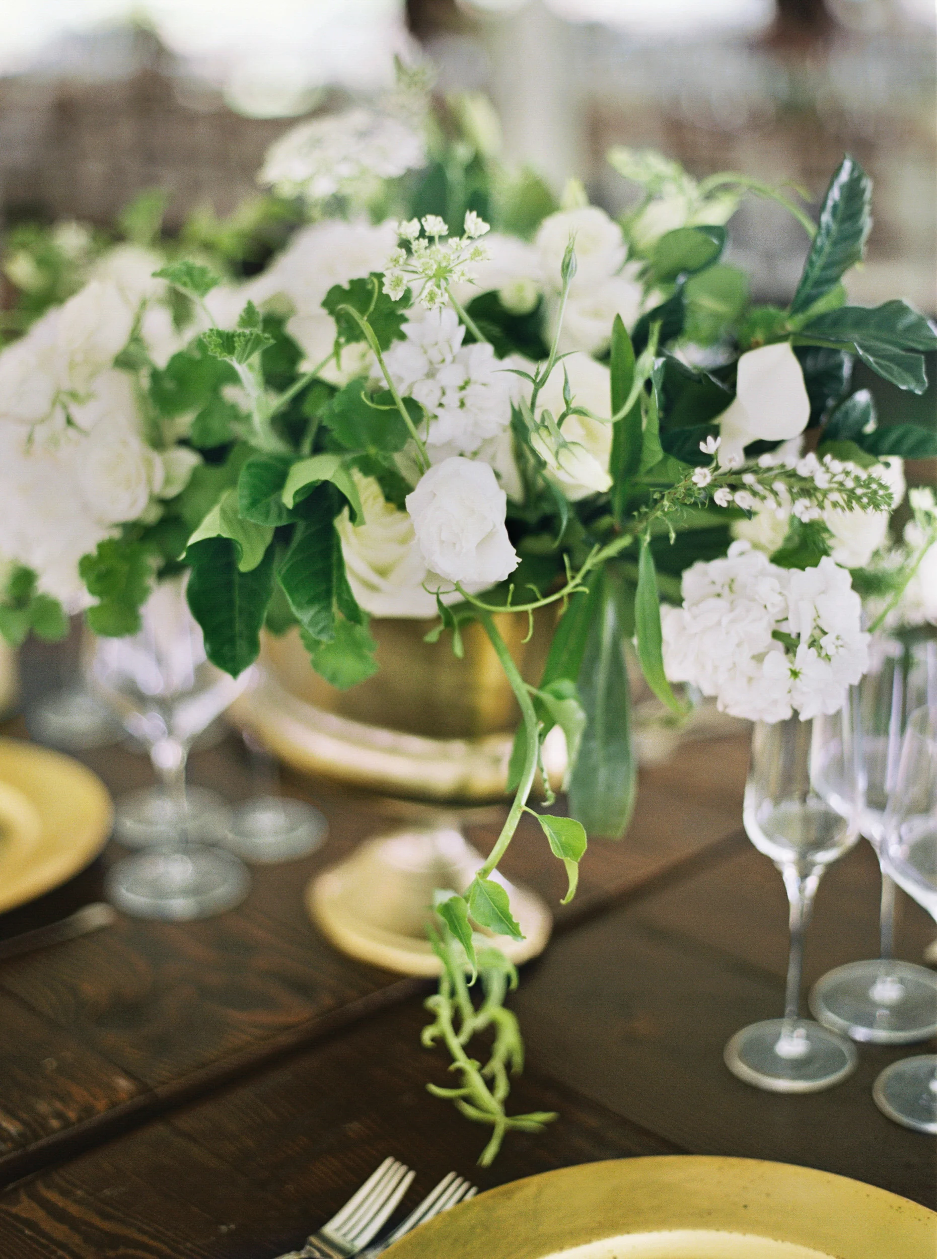 048luxary_wedding_photographer_videographer_destination_elopement_lewis&clark_.jpg