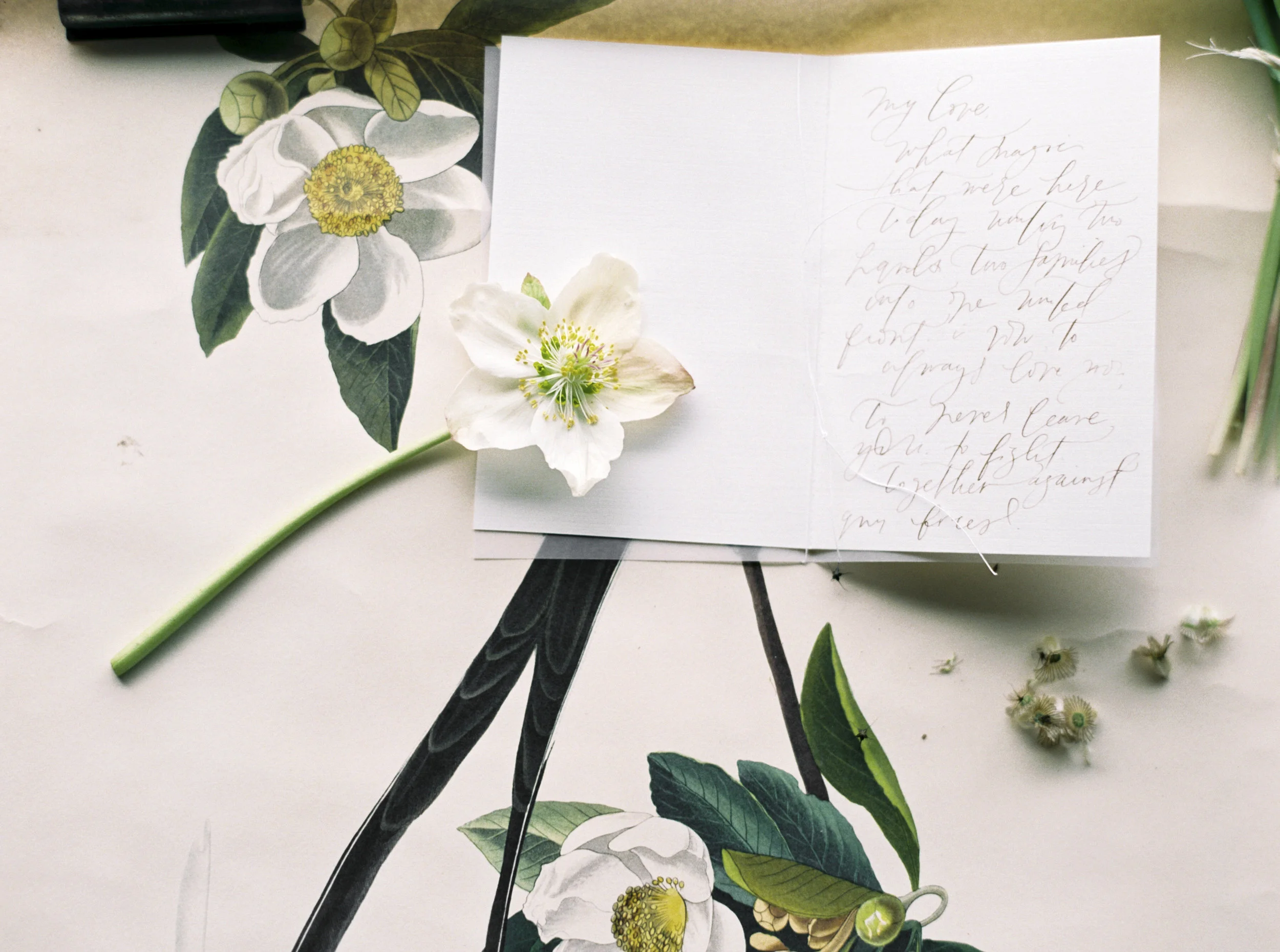 013@outlivecreative_cannon_beach_destination_wedding_photographer_&_videographer.jpg
