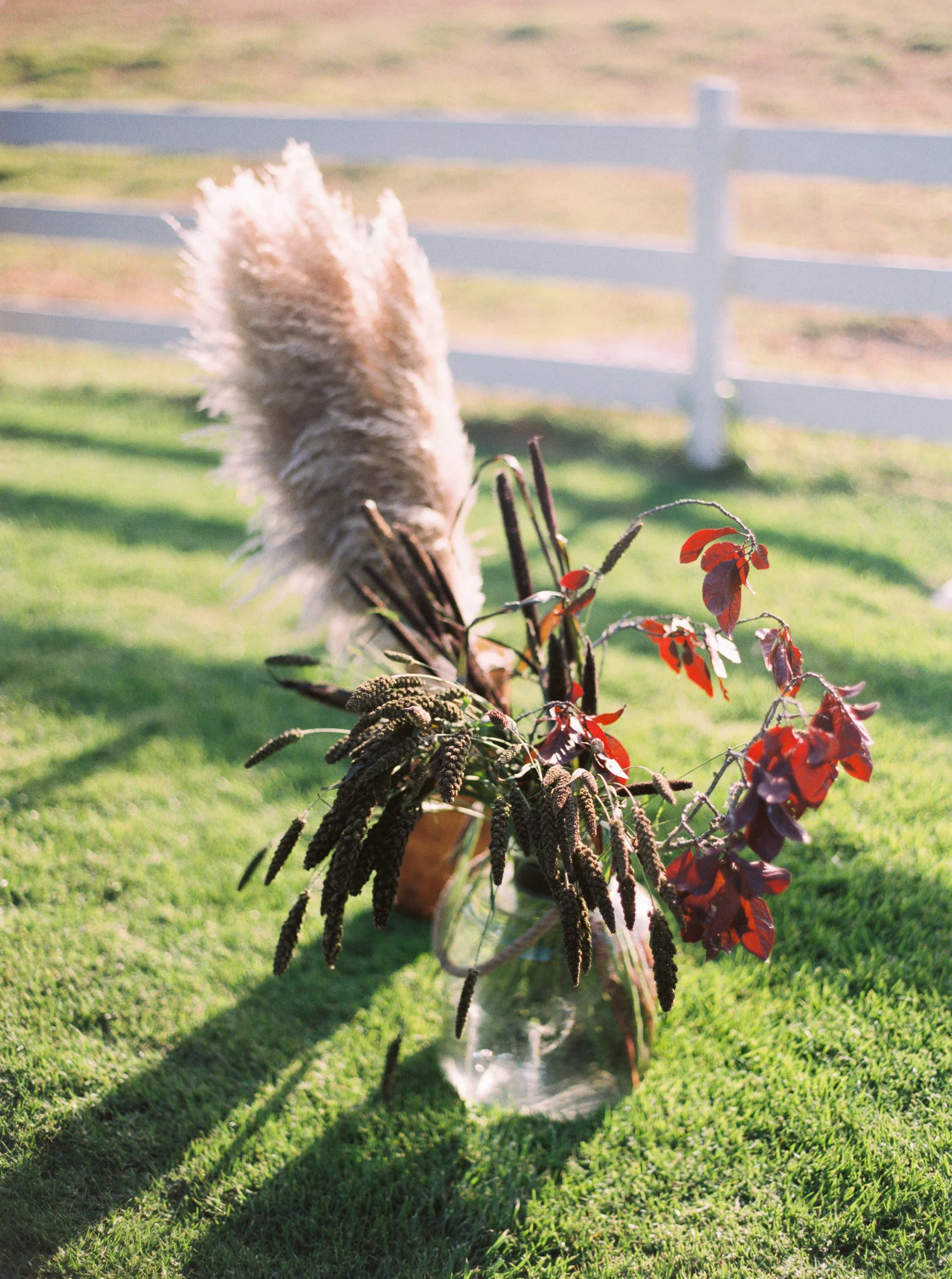 036carmel_california_destination_wedding_photography_wedding_videography_mission_ranch.jpg
