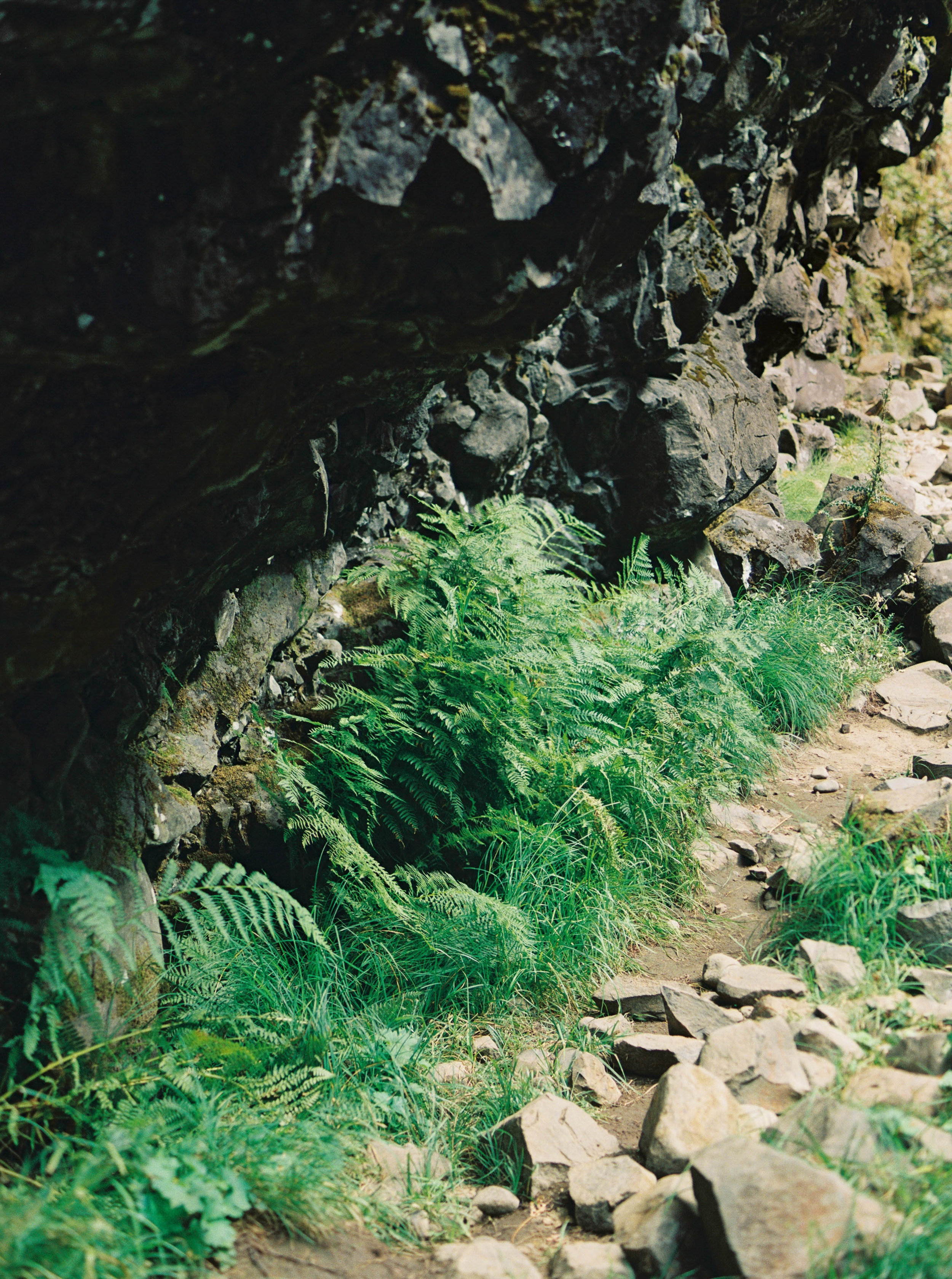 abiqua_falls_elopement_wedding_oregon_photographer_videographer_006.jpg