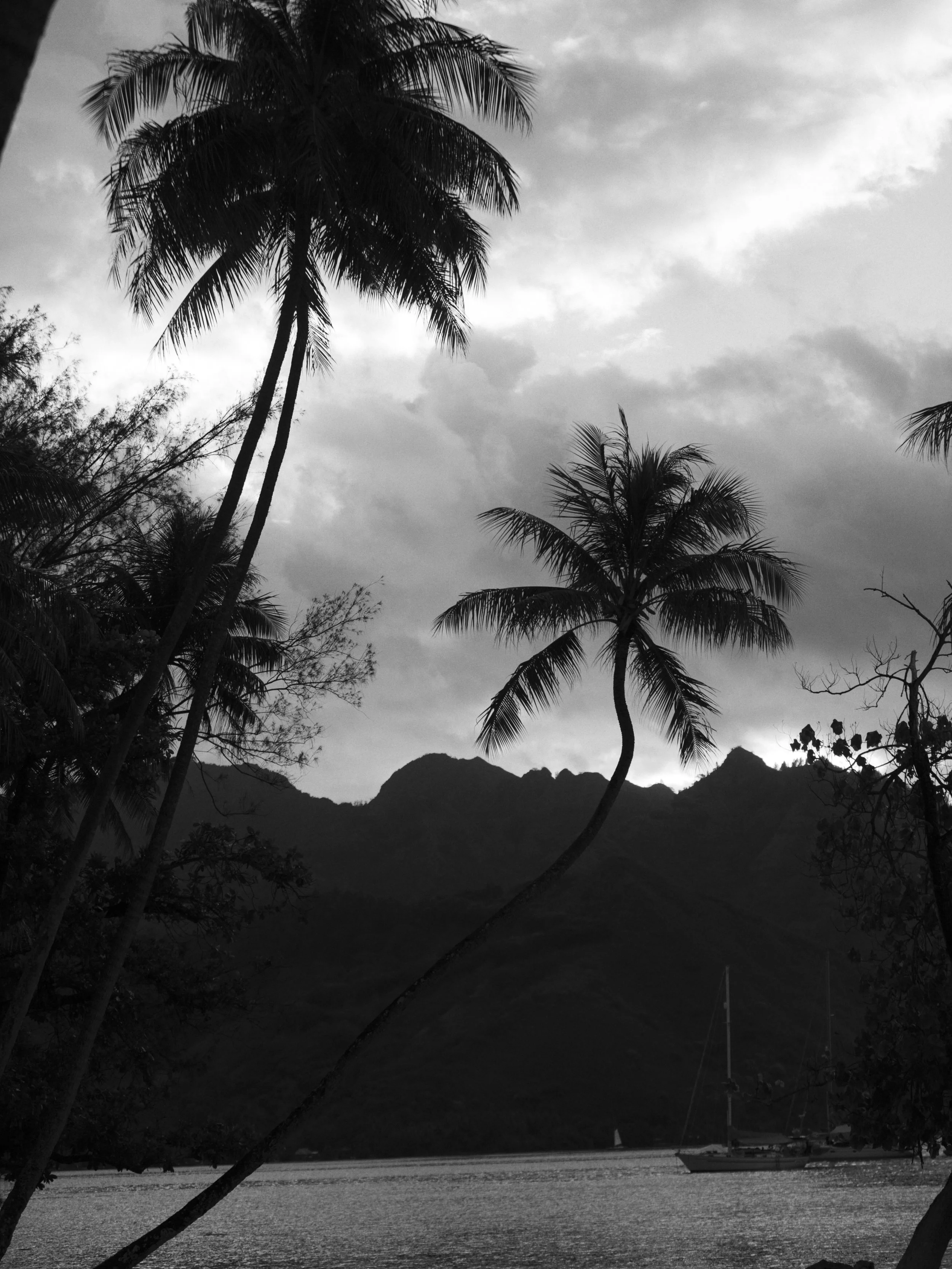 Cynthia &amp; Bryan Eloped in Mo'orea (French Polynesia)