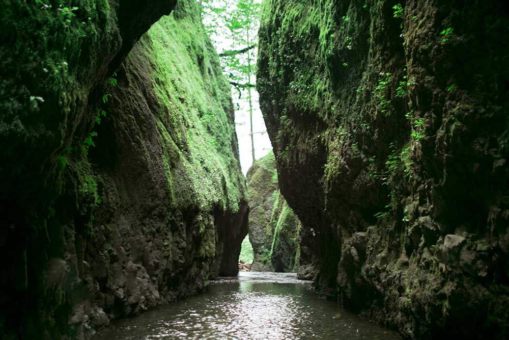 Oneonta Gorge Elopement