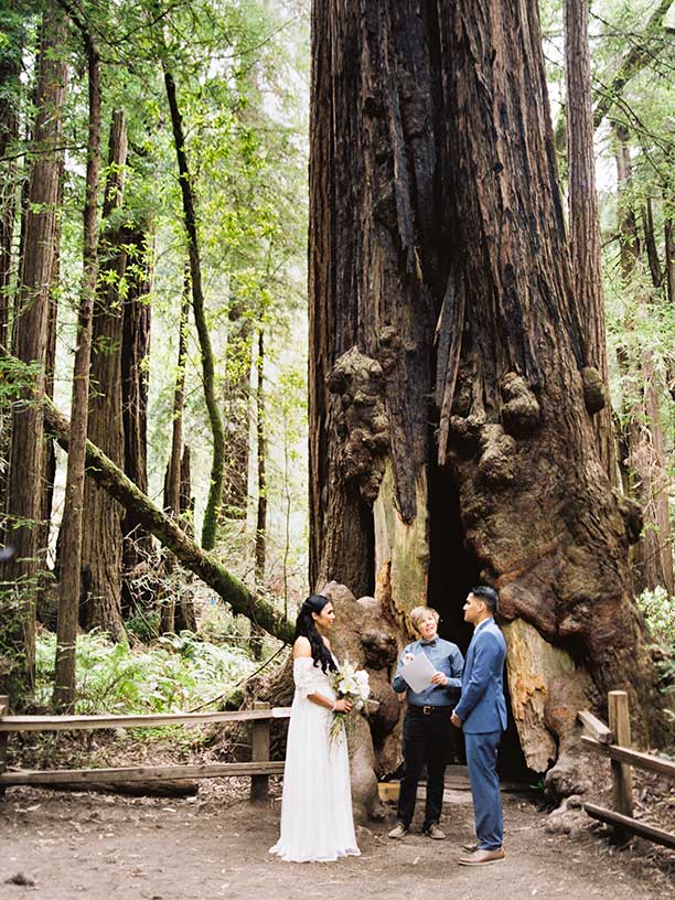 Muir Woods Elopement by Outlive Creative