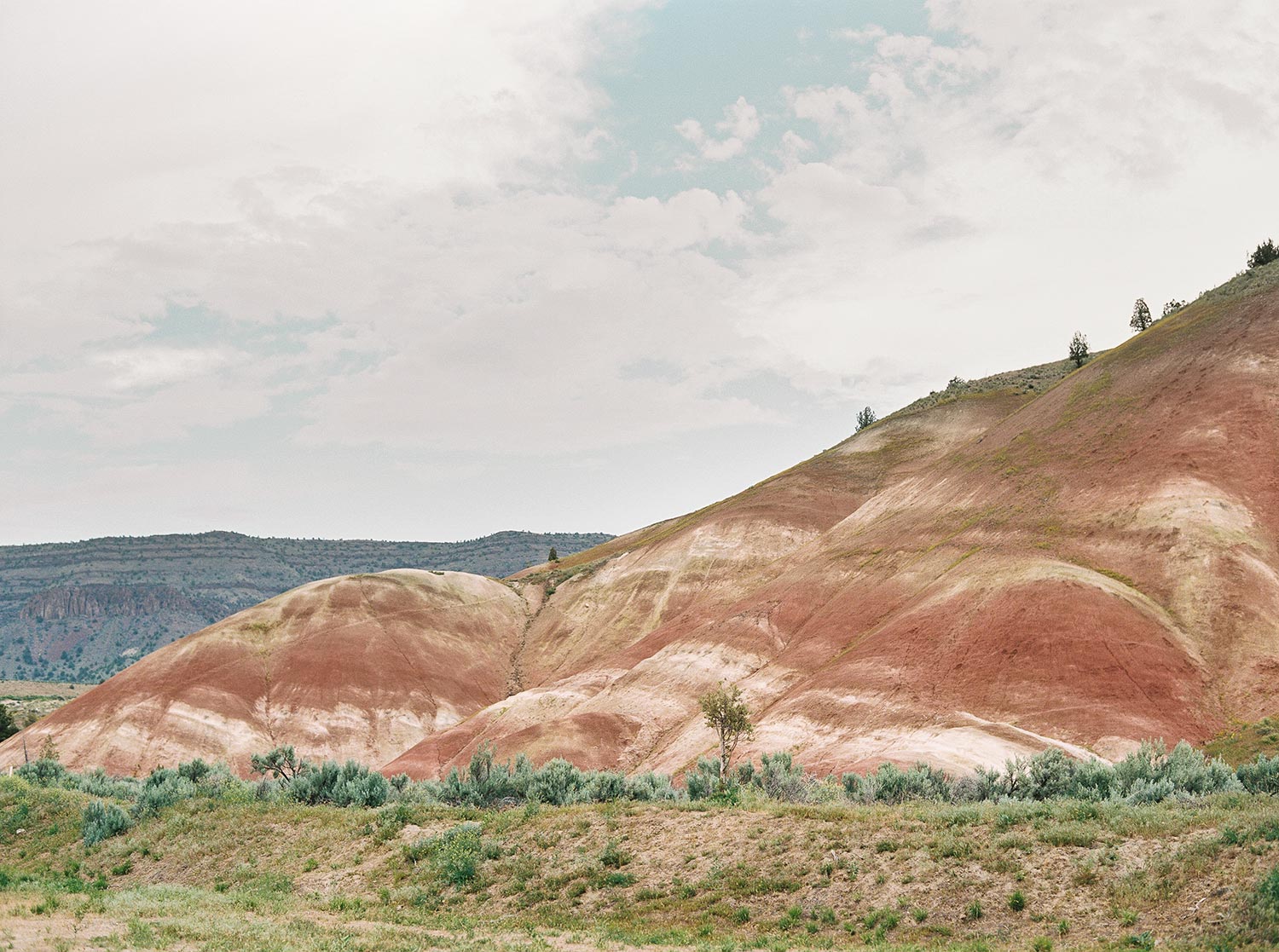 Painted Hills Elopement by Outlive Creative