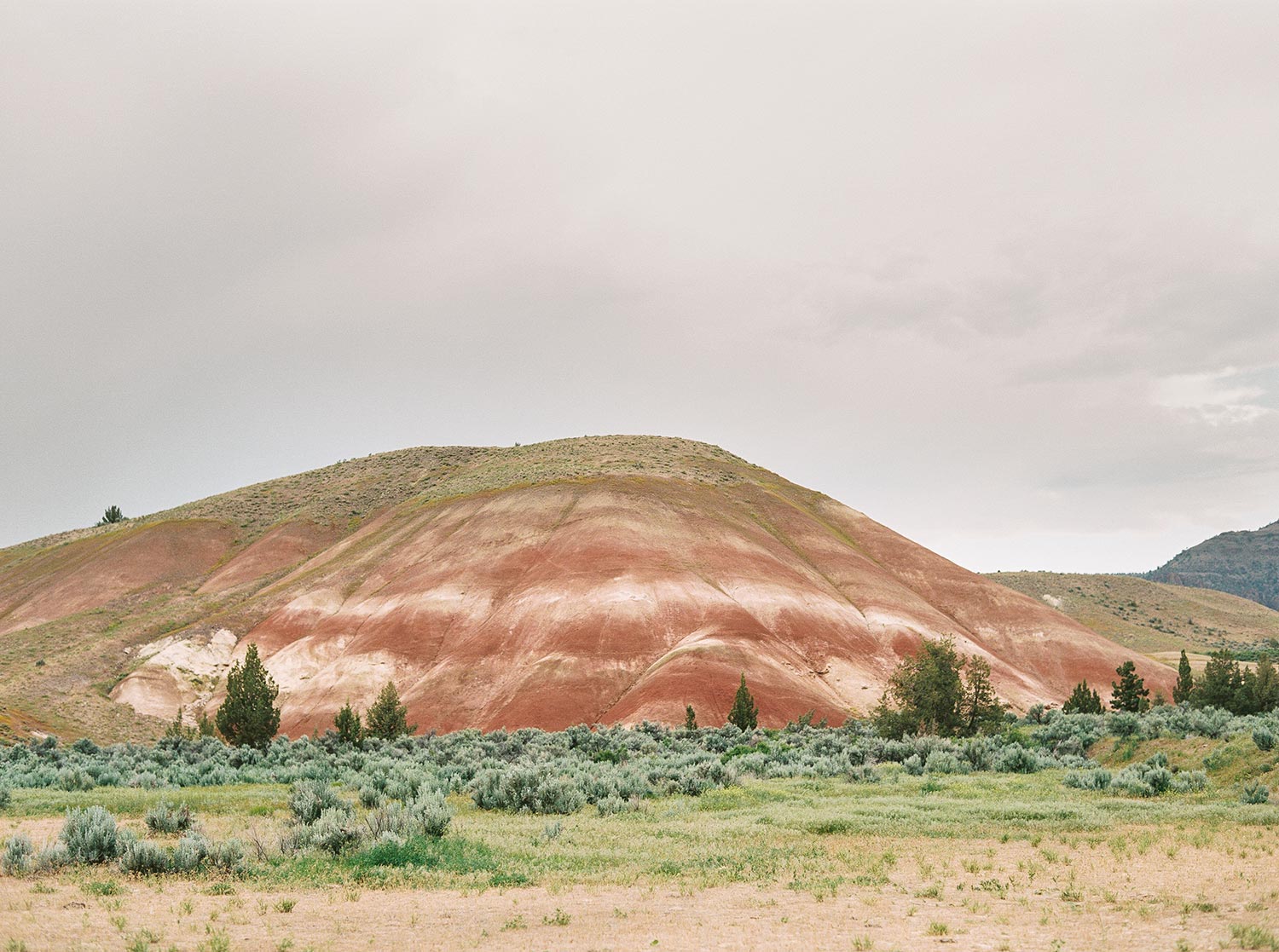 Painted Hills Elopement by Outlive Creative