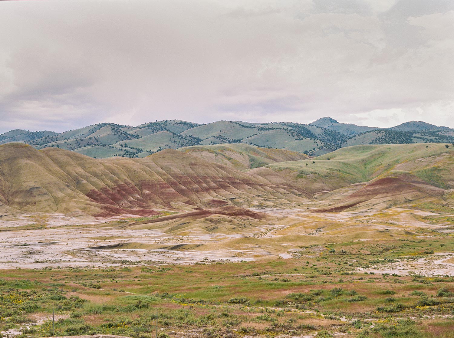 Painted Hills Elopement by Outlive Creative