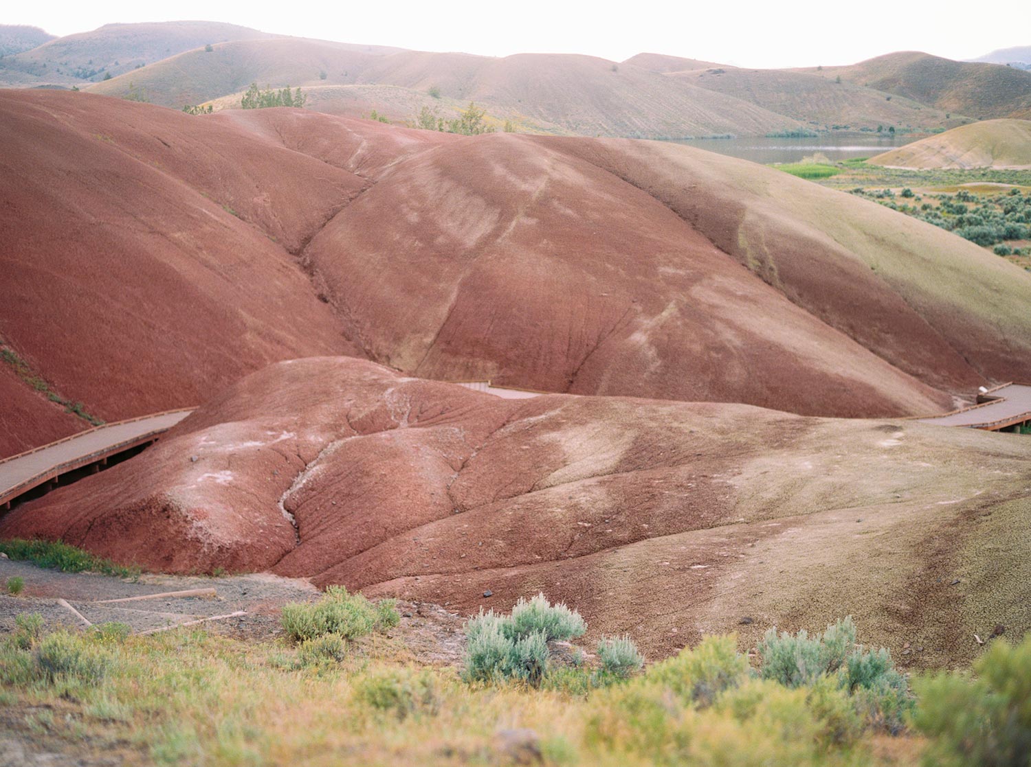 Painted Hills Elopement by Outlive Creative