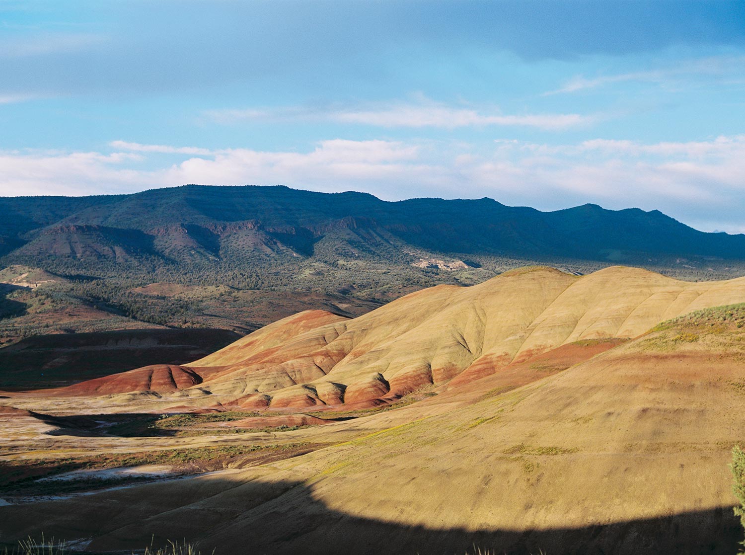 Painted Hills Elopement by Outlive Creative