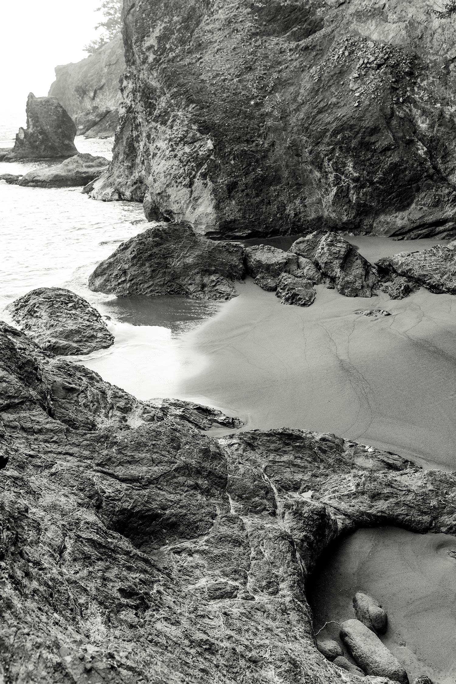 Oregon Coast Elopement by Outlive Creative