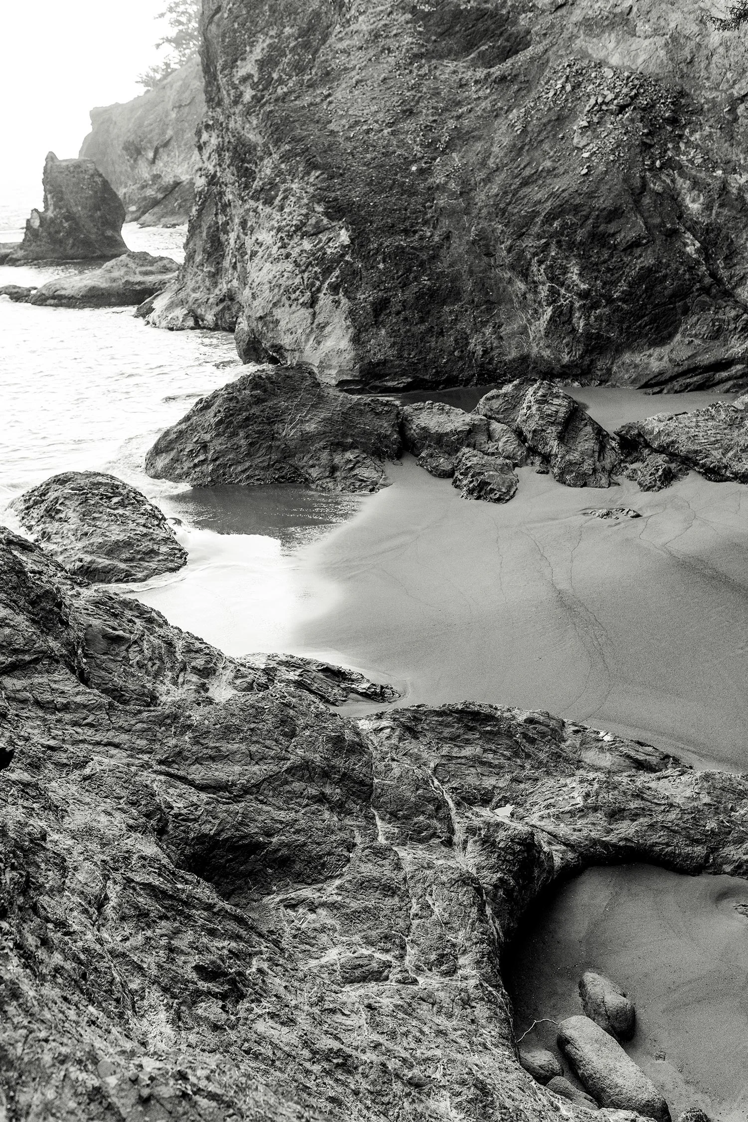 Oregon Coast Elopement by Outlive Creative