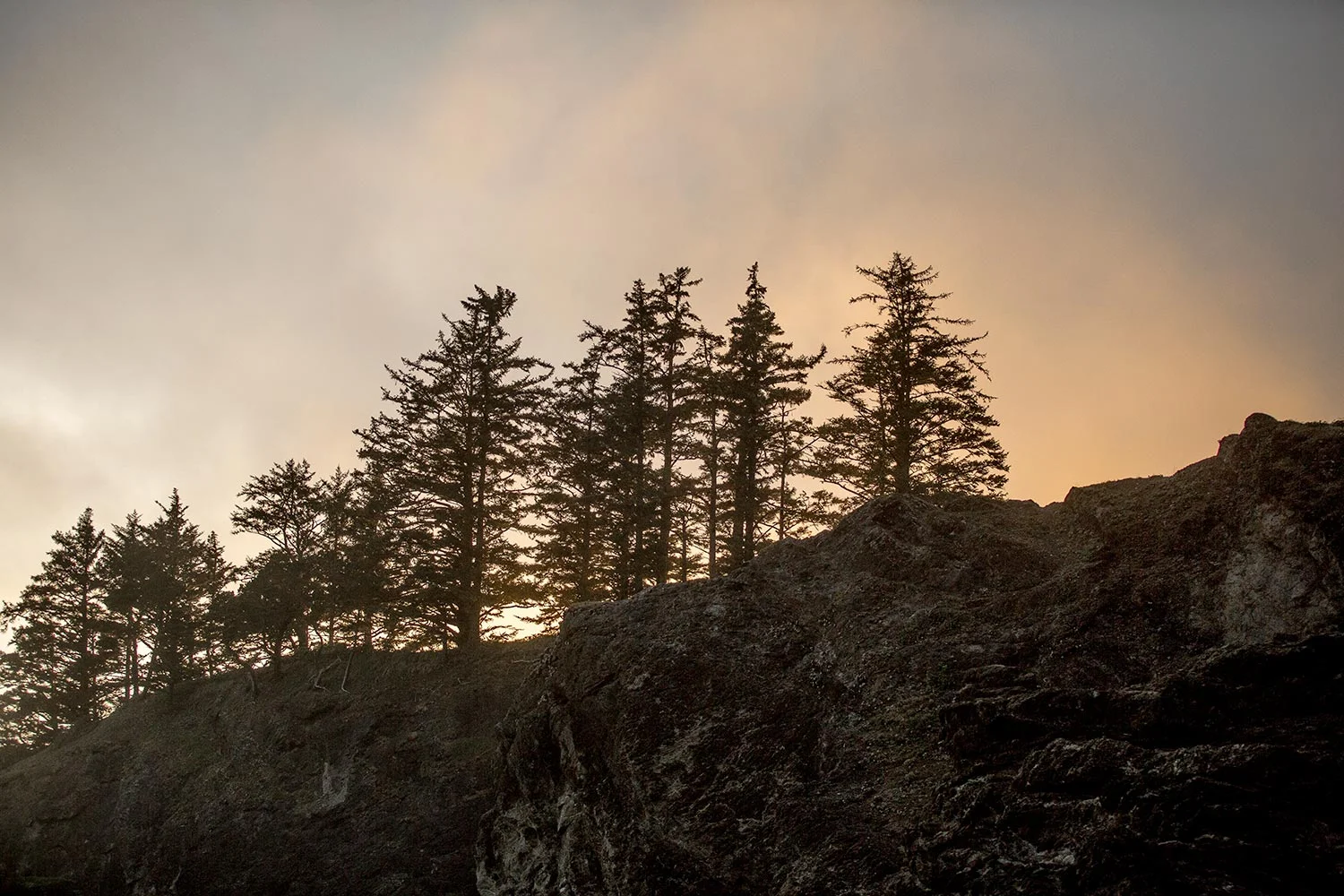Oregon Coast Elopement by Outlive Creative