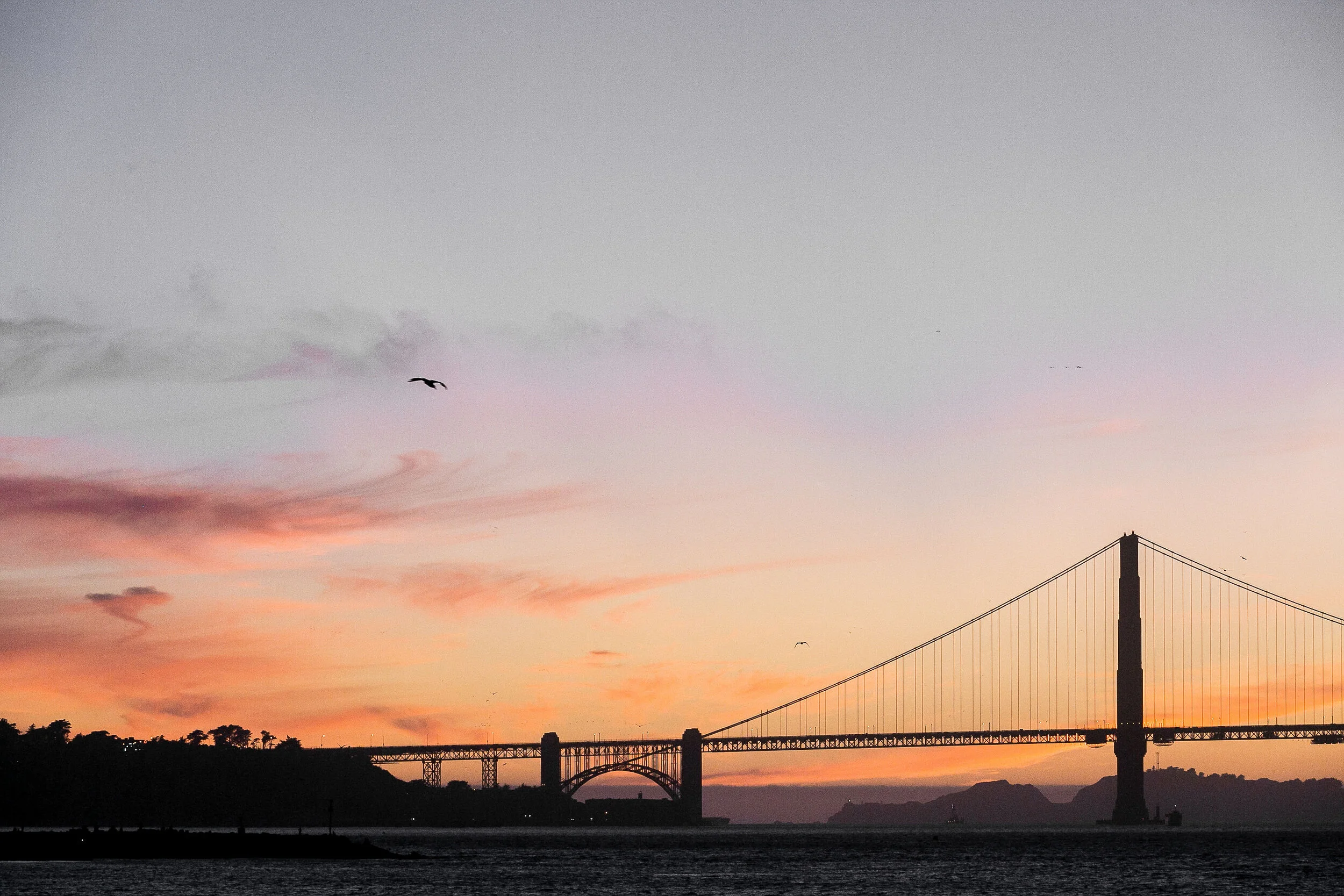 Our Top 9 Bay Area Wedding Venues!