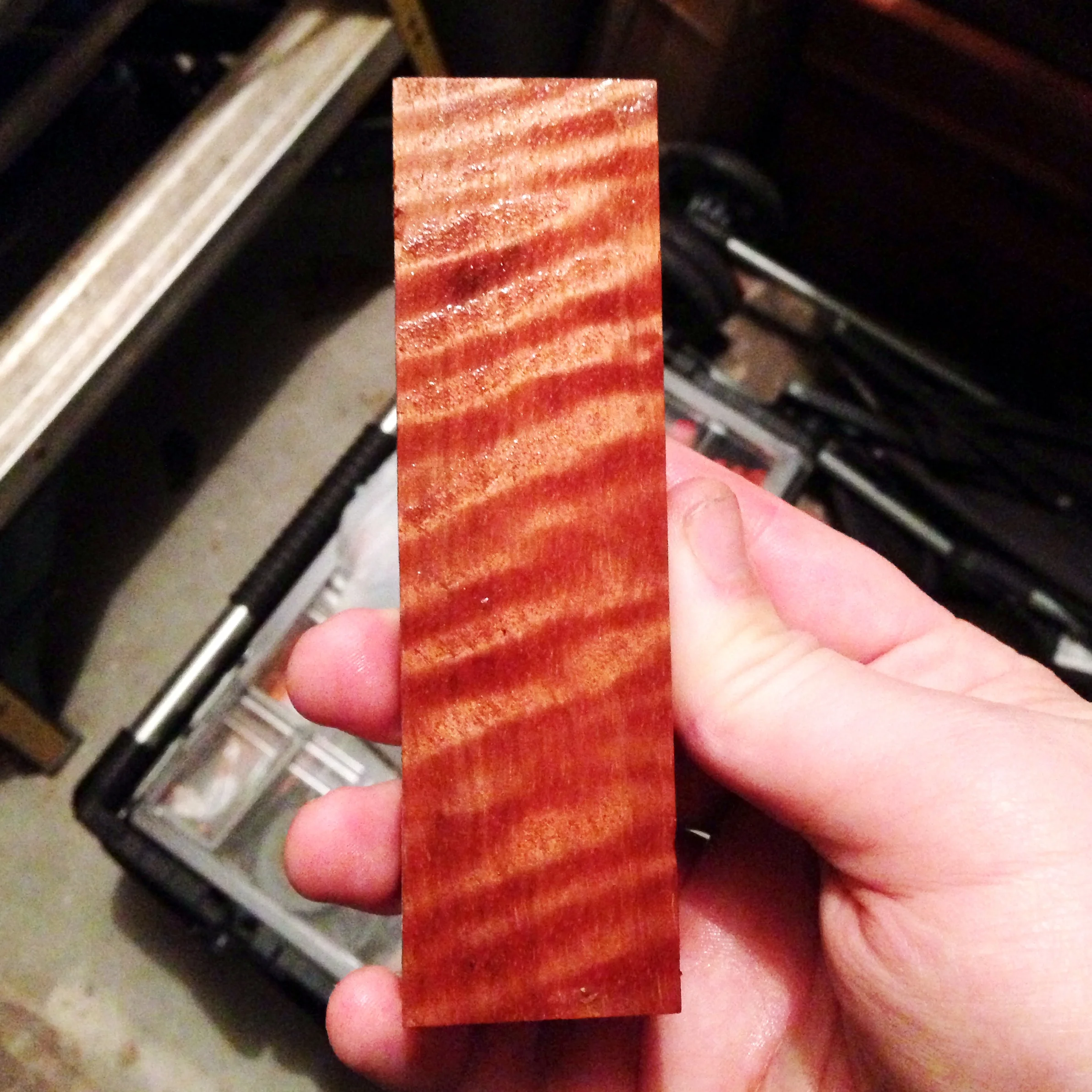 Asian Satinwood