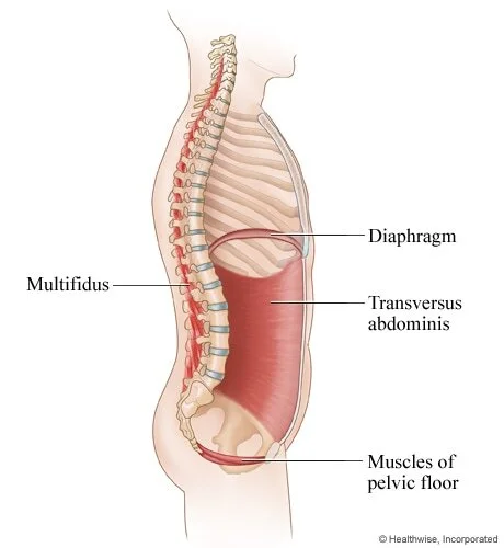 core-muscles-diagram_orig.jpg