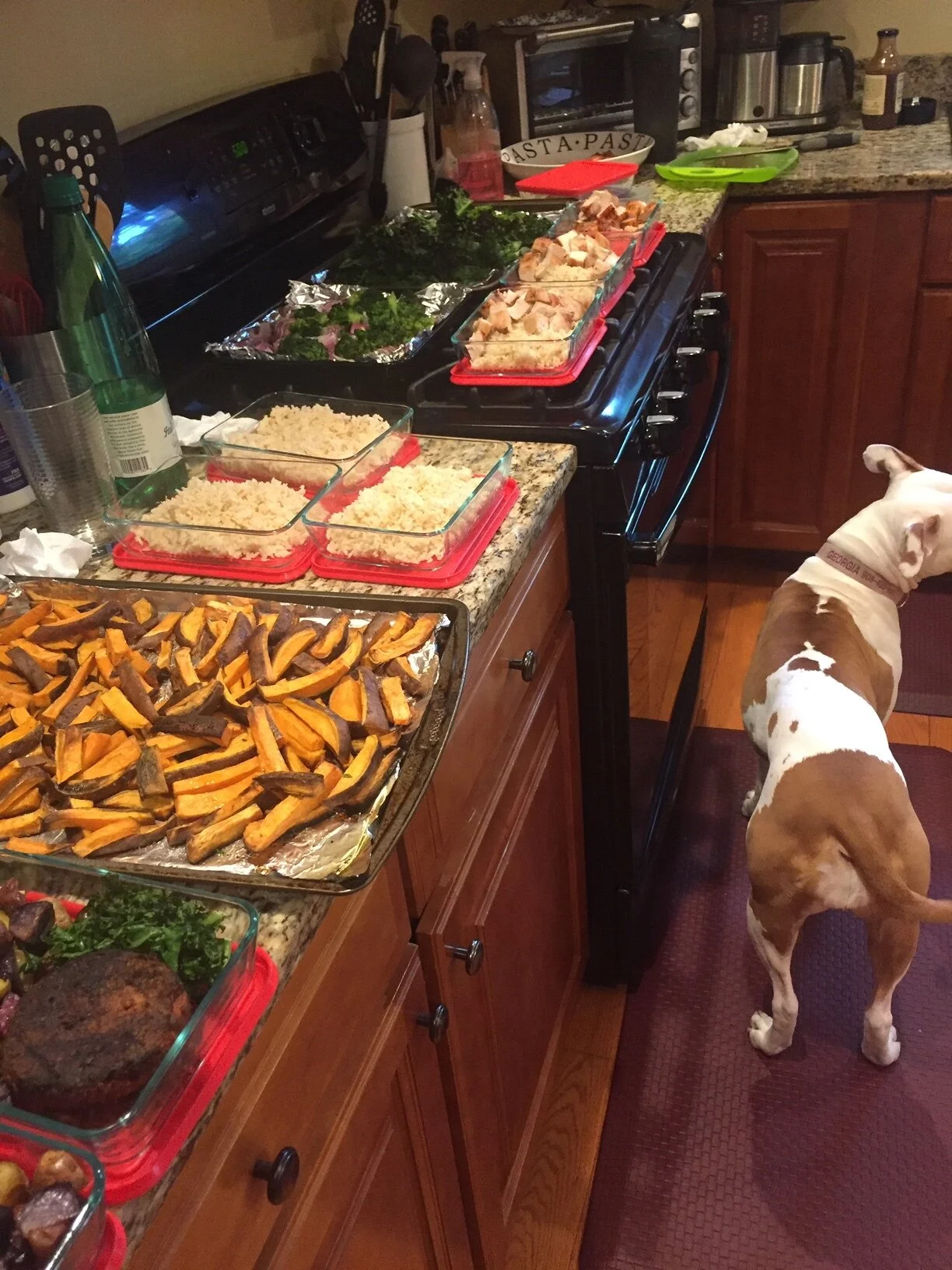 Meal Prep, Start Doing It