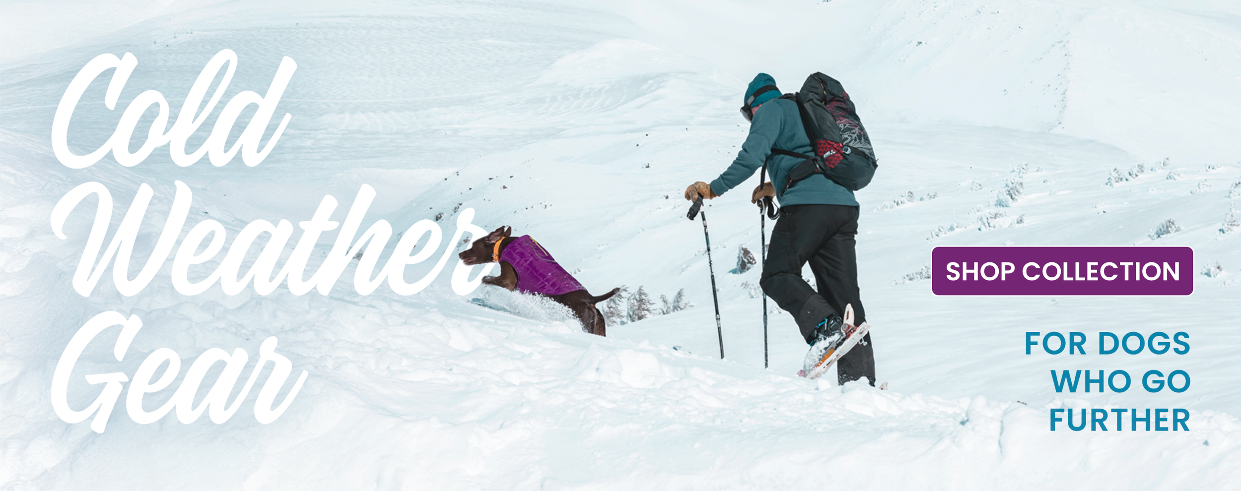 Kurgo_ColdWeatherGear_Desktop.png