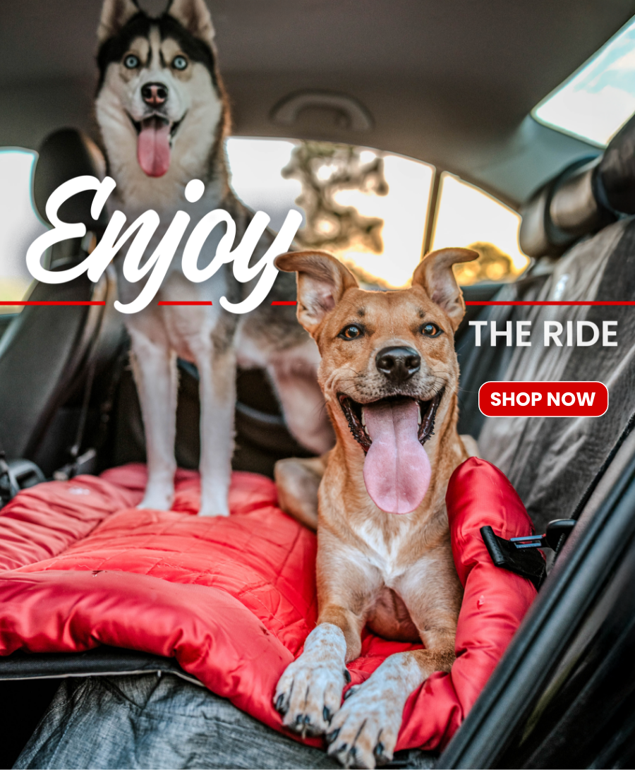 Kurgo_InCarAdventure – 1.png