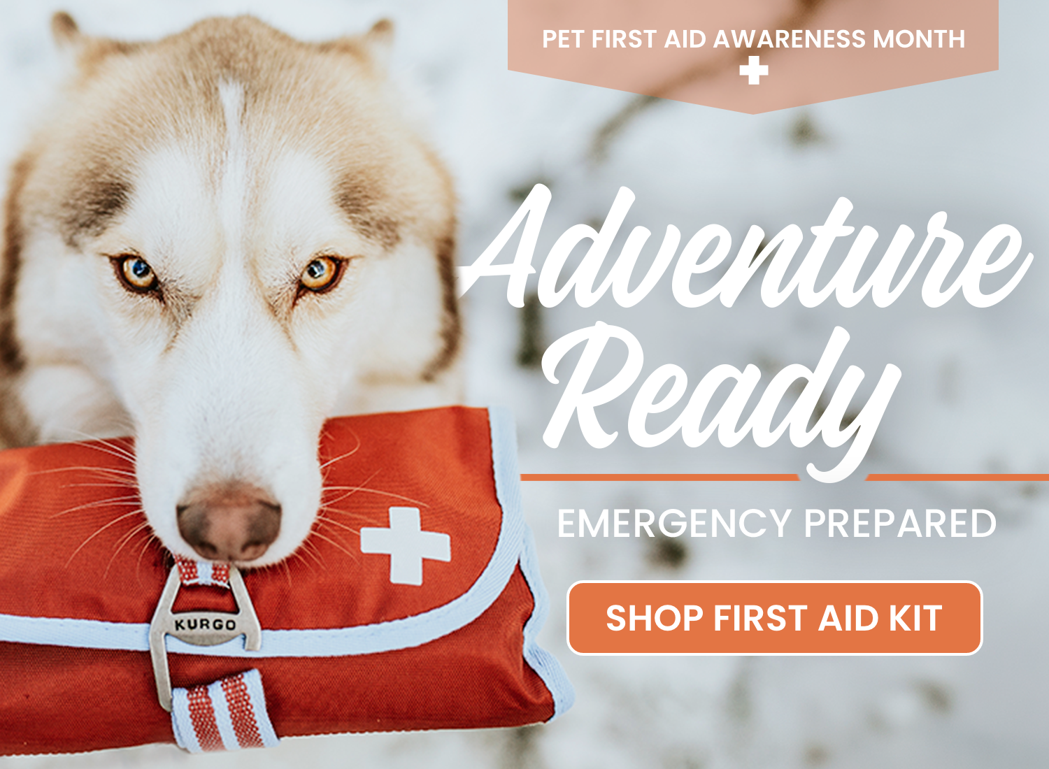 Kurgo_FirstAid_Mobile.png