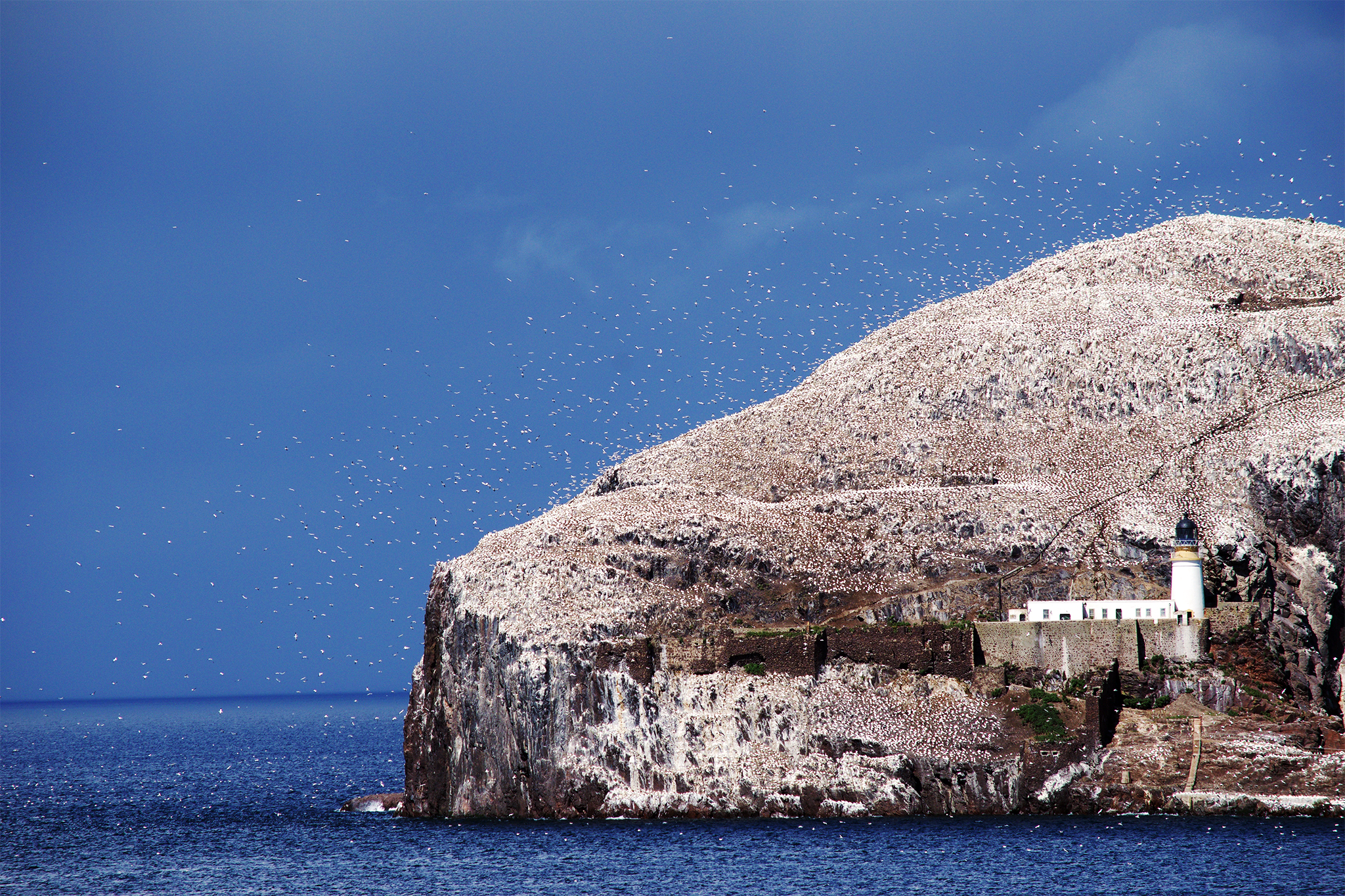 Bass Rock