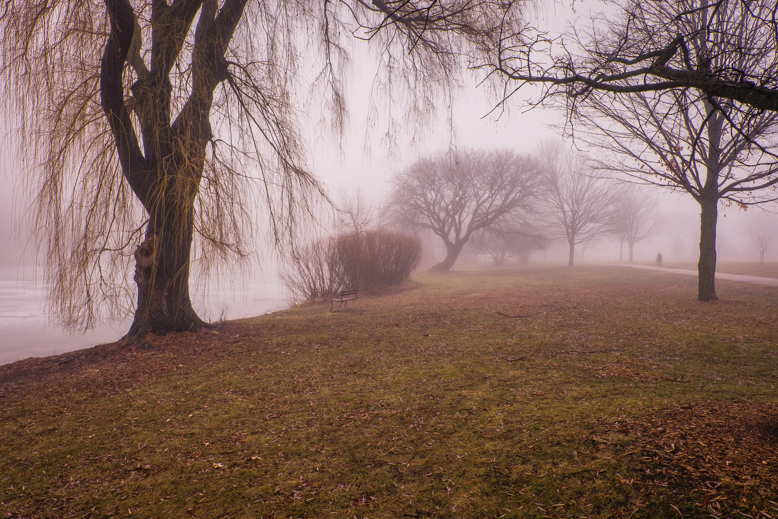 Walk in the Park.jpg