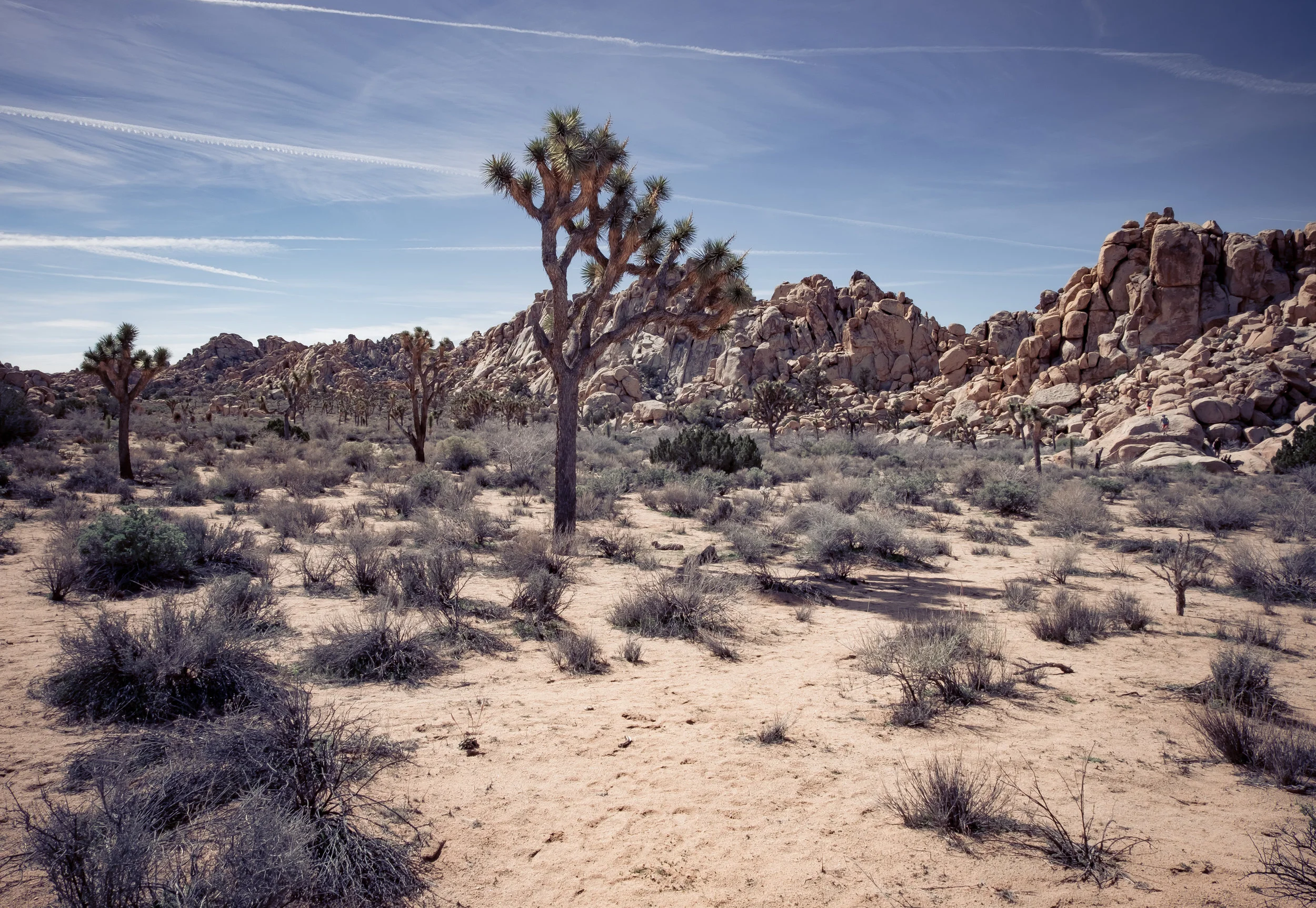 Joshua and Rocks.jpg