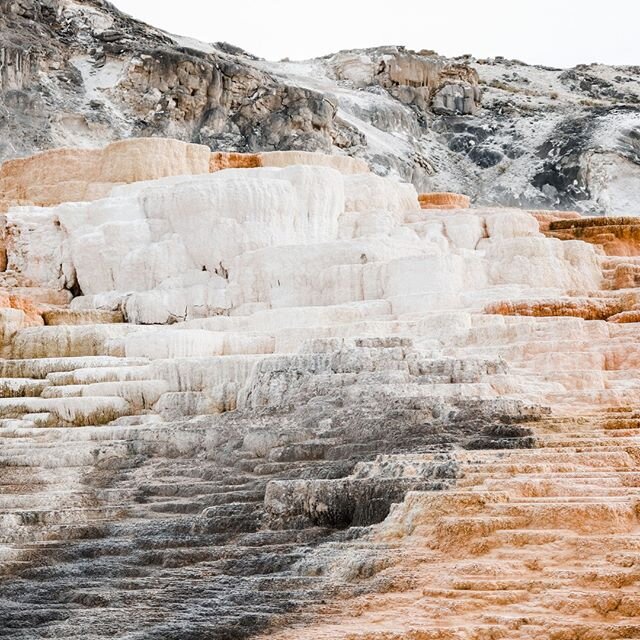 Did you know that the Mammoth Hot Springs in Yellowstone are made up of limestone? The wonder of nature is stunning! #travel #travelphotography #traveladvisor #luxurytraveladvisor #travelagent #protravelinternational #gowithpro #virtuosotraveladvisor
