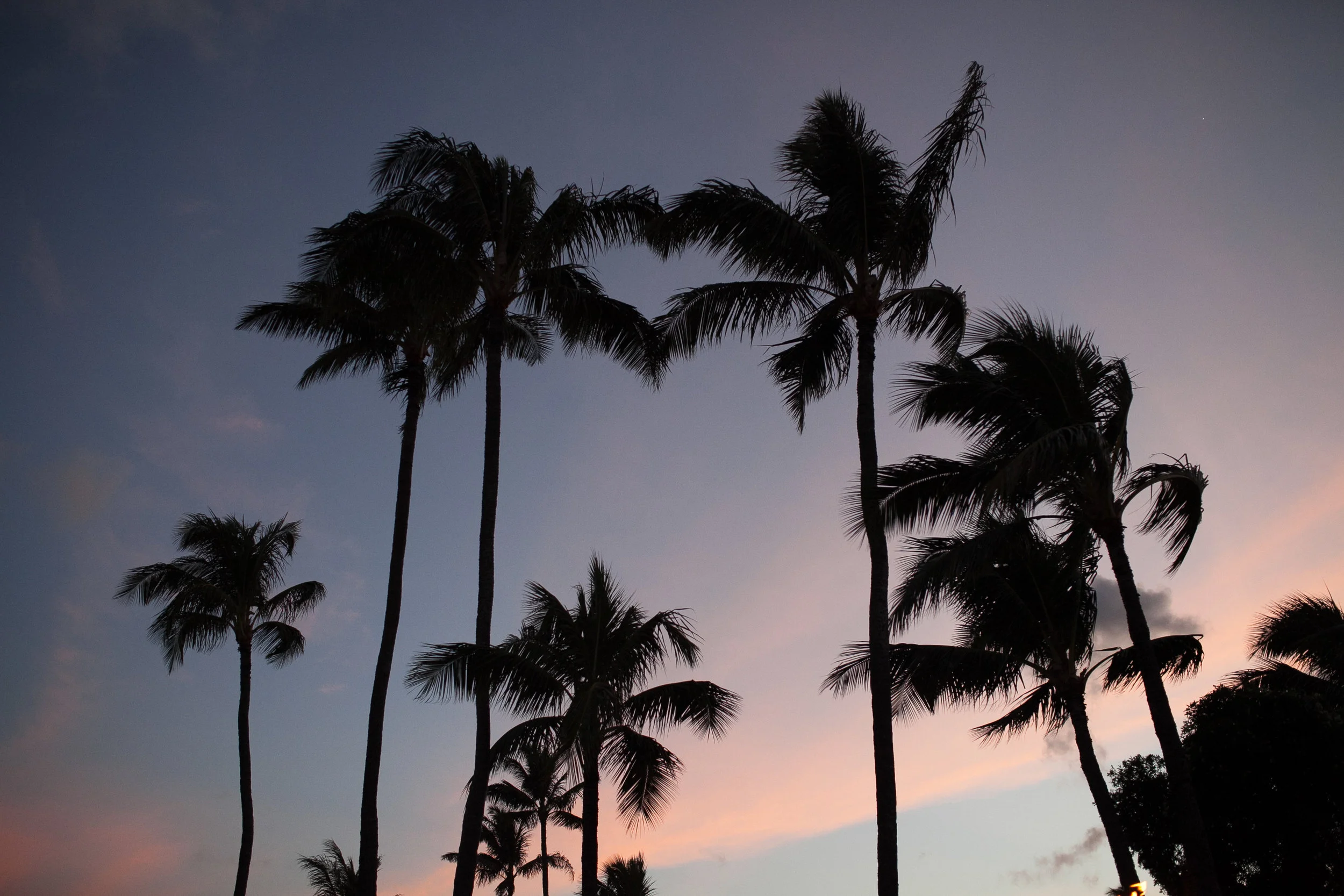 004Travel_Adventure_Photography_Outlive_Creative_Hawaii.jpg