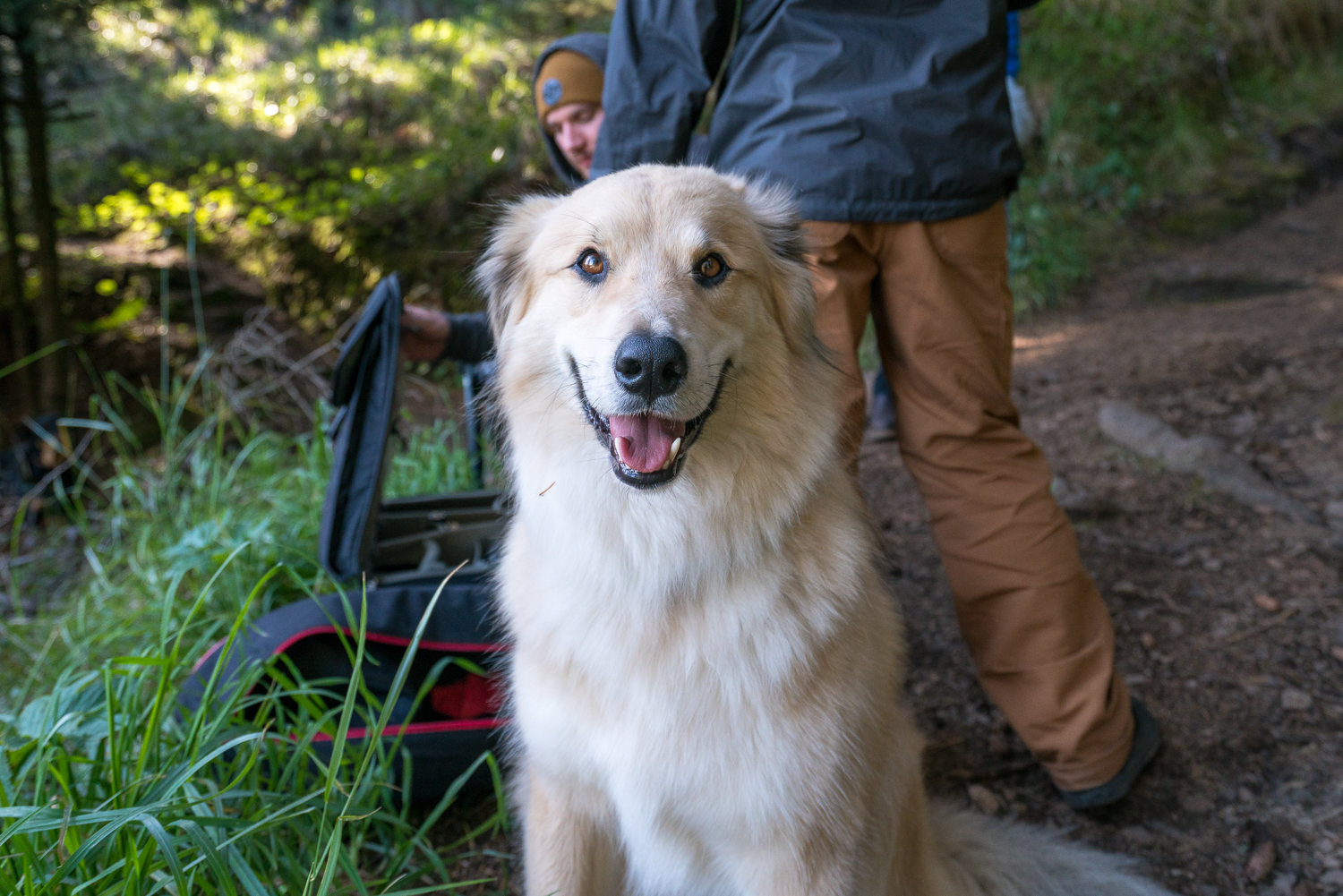 JASPER BTS-7.jpg