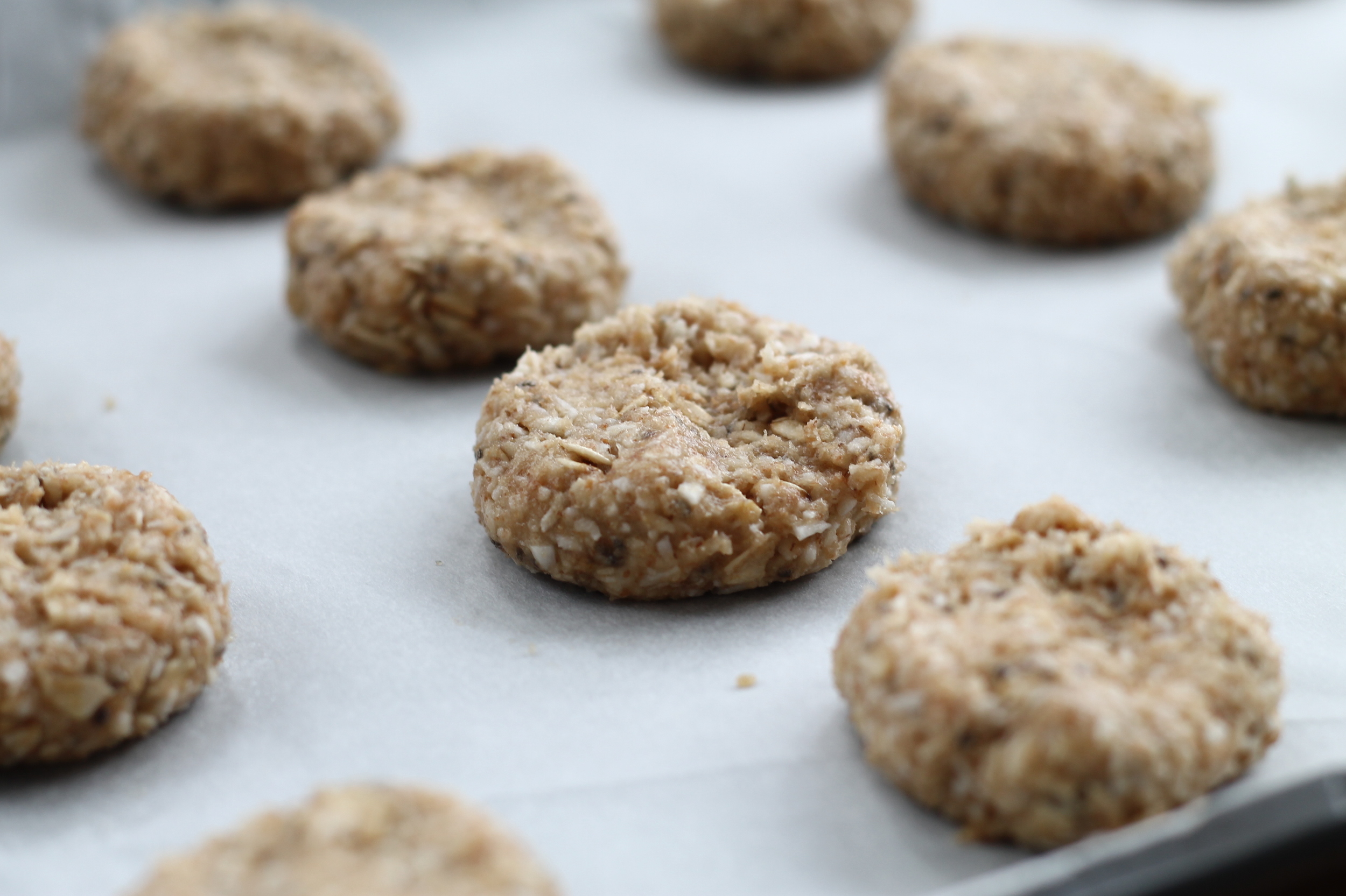 Coconut Oatmeal Cookies — Blossom Counselling Centre