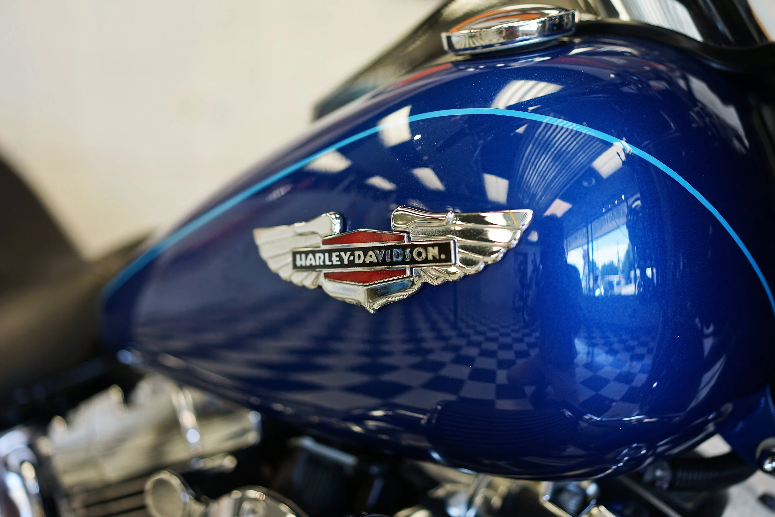 2009harleysoftail09.jpg