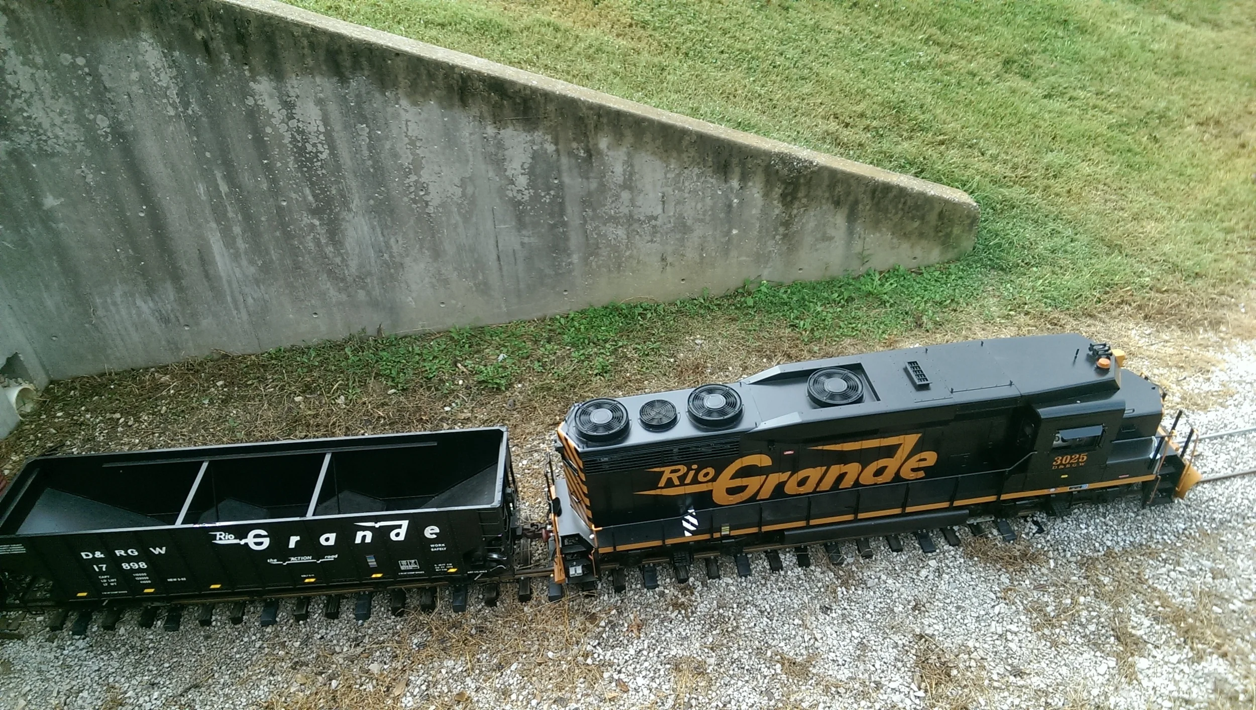 IMAG0337.jpg