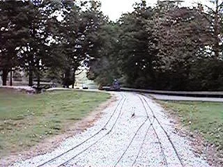 Spring9874.jpg