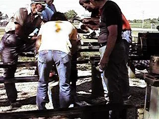Spring9881.jpg