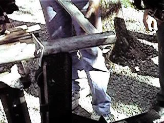 Spring9887.jpg