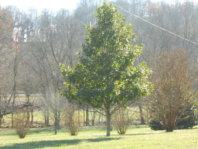 dscn2552.jpg