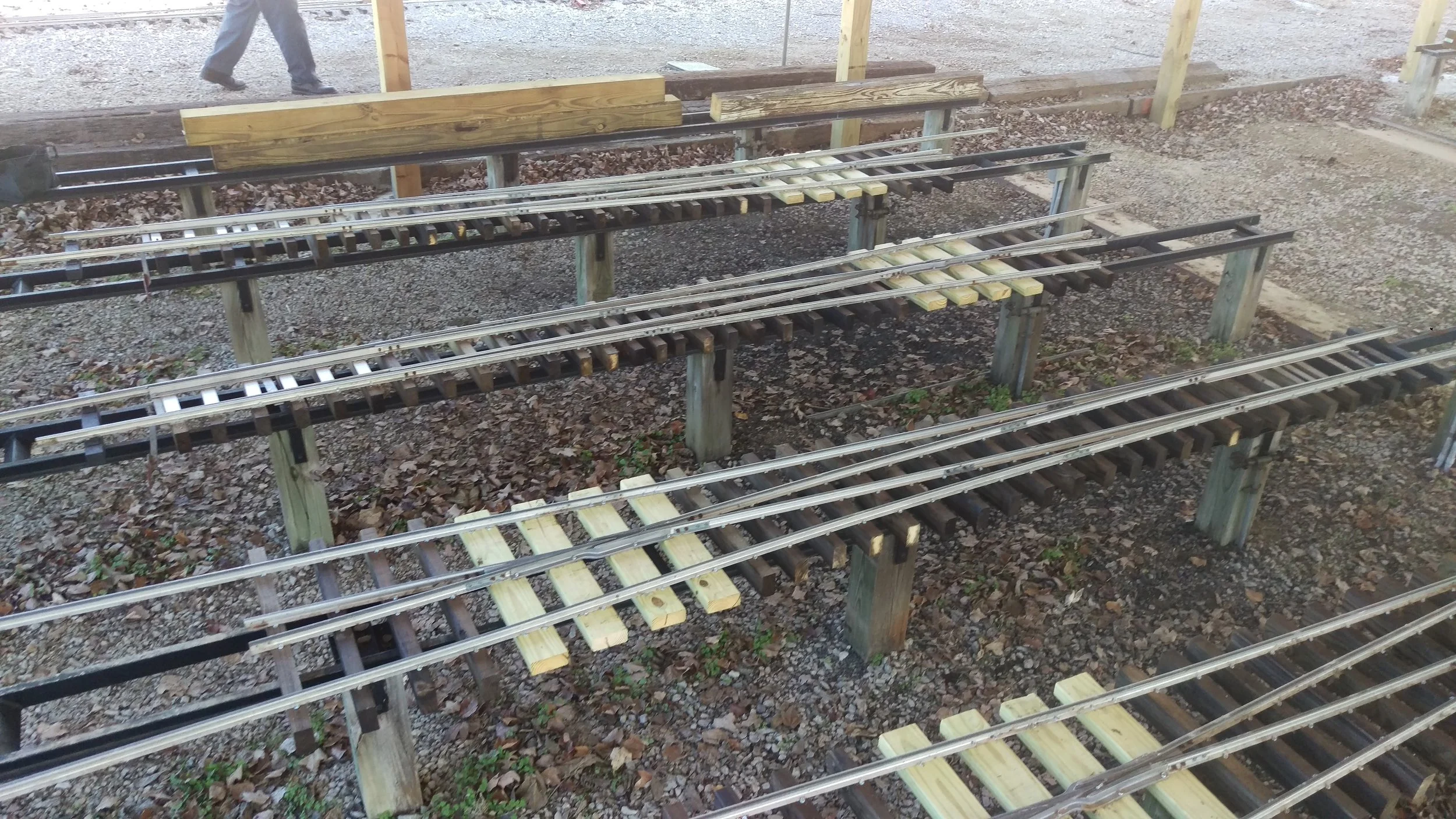 IMAG0100.jpg